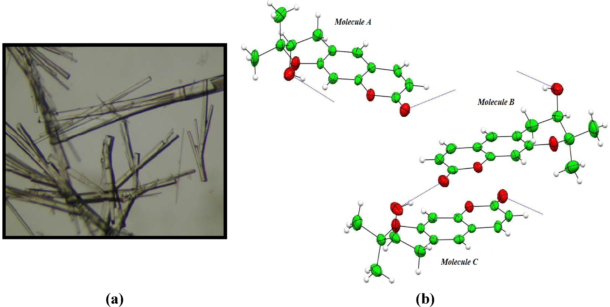 Crystals Free Full Text Determination Of The Absolute Configuration Of Aegelinol By Crystallization Of Its Inclusion Complex With B Cyclodextrin Html