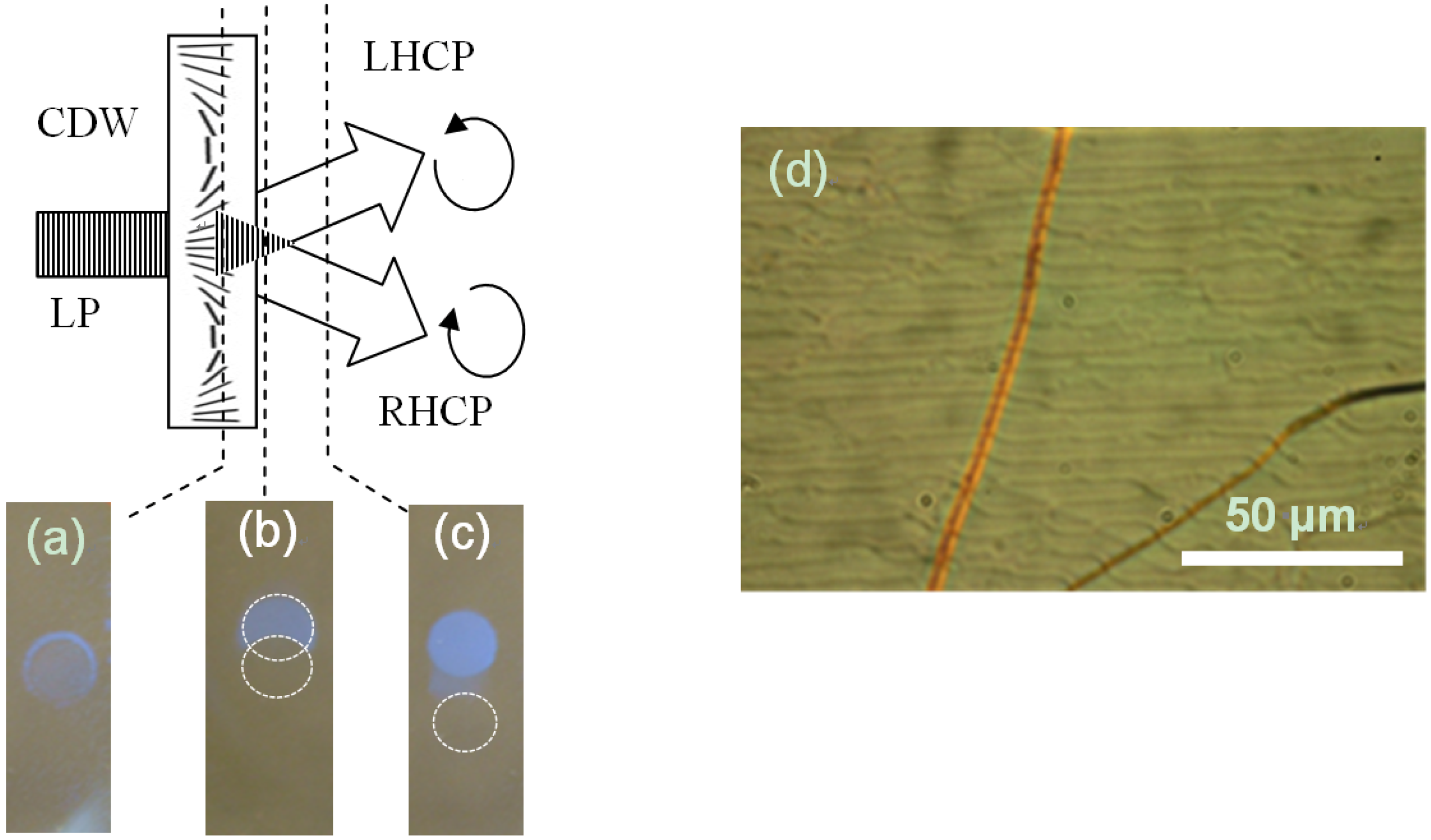 Crystals 03 00234 g007 1024