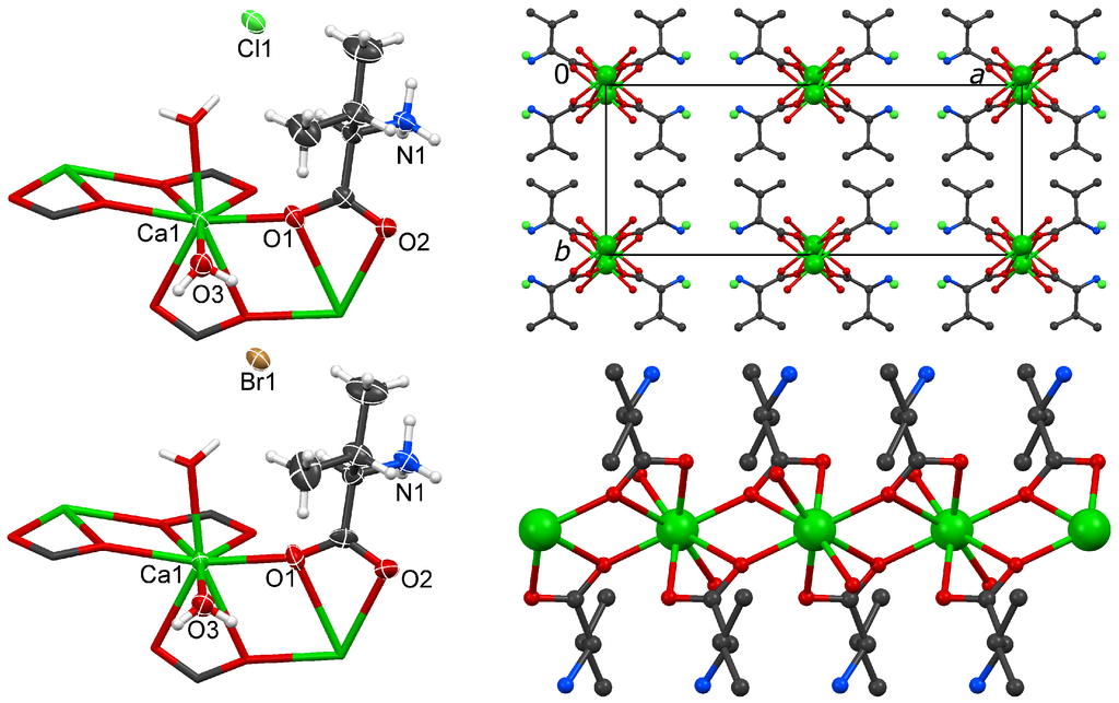 Incidental Polymorphism, Non-Isomorphic and Isomorphic Substitution in ...