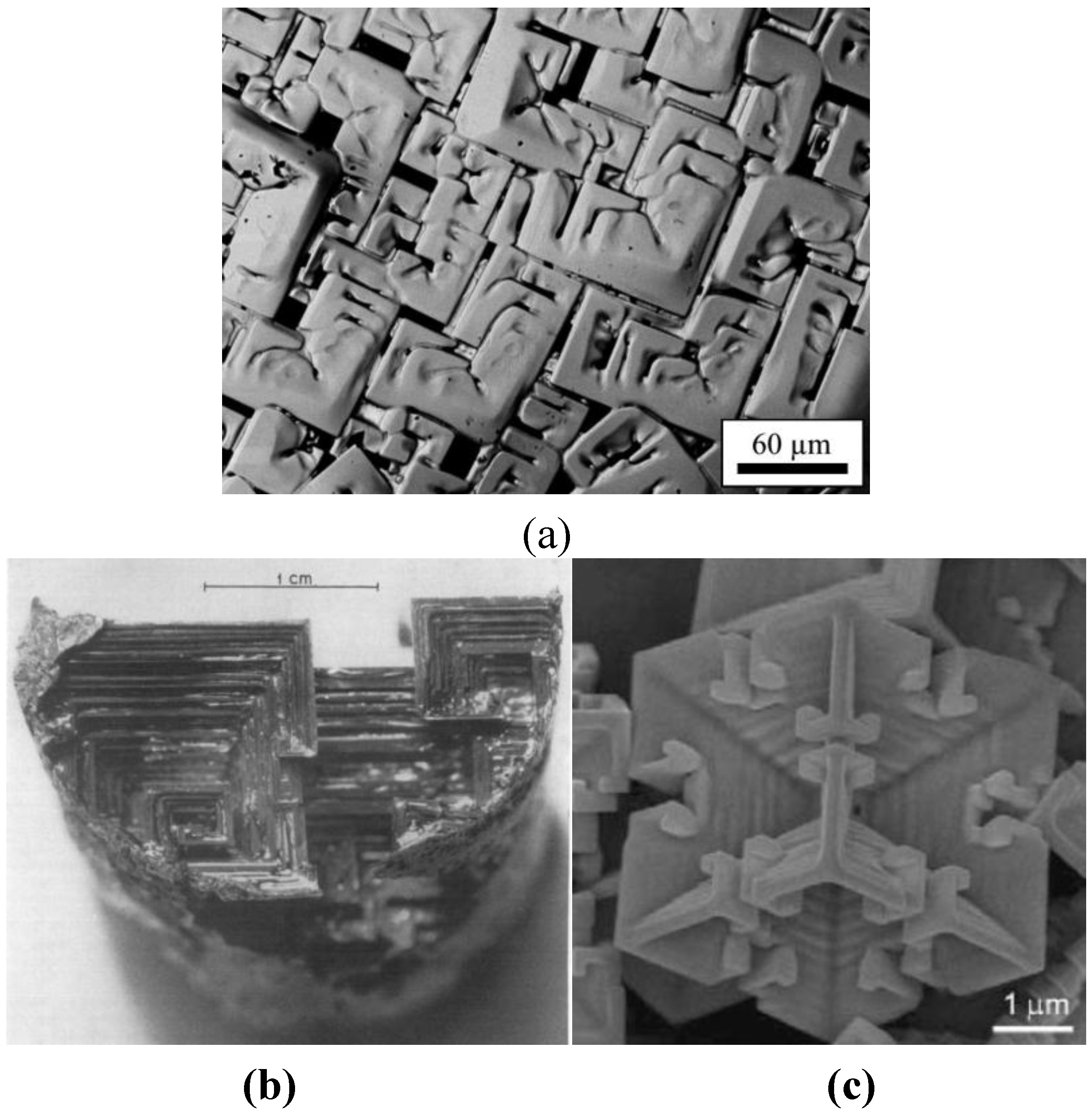 Crystals Free FullText Dendrite Growth in Undercooled