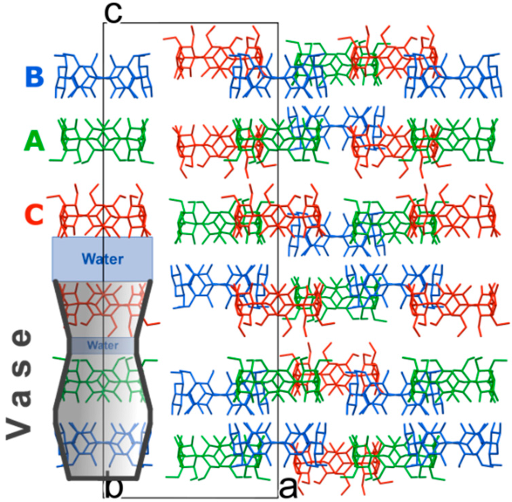 Structural Elucidation of α-Cyclodextrin-Succinic Acid