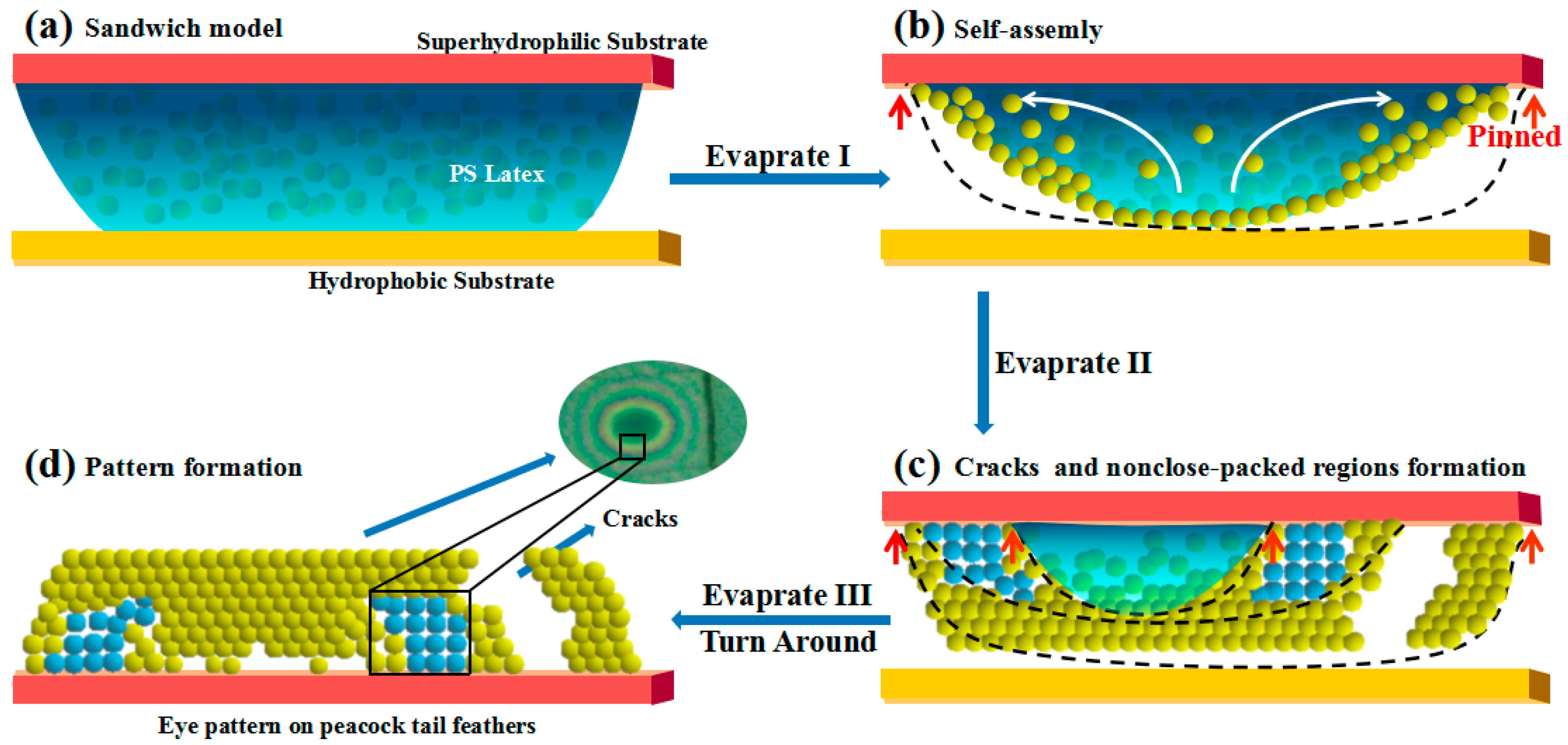 Crystals 06 00099 sch001