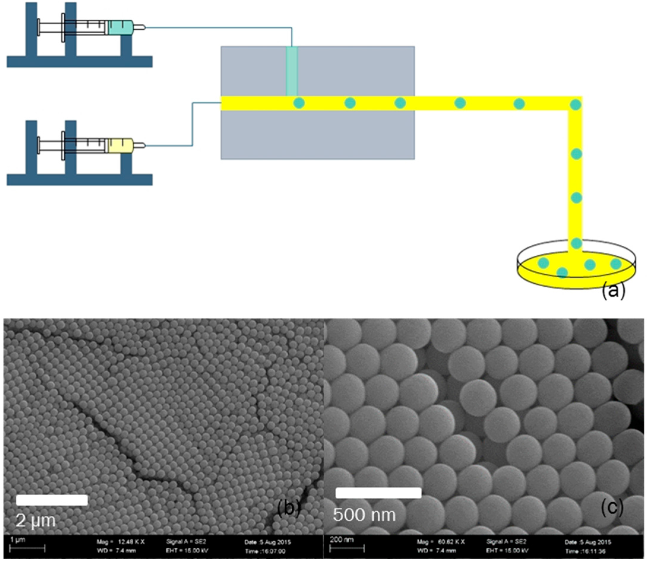 Crystals 06 00122 g007 550