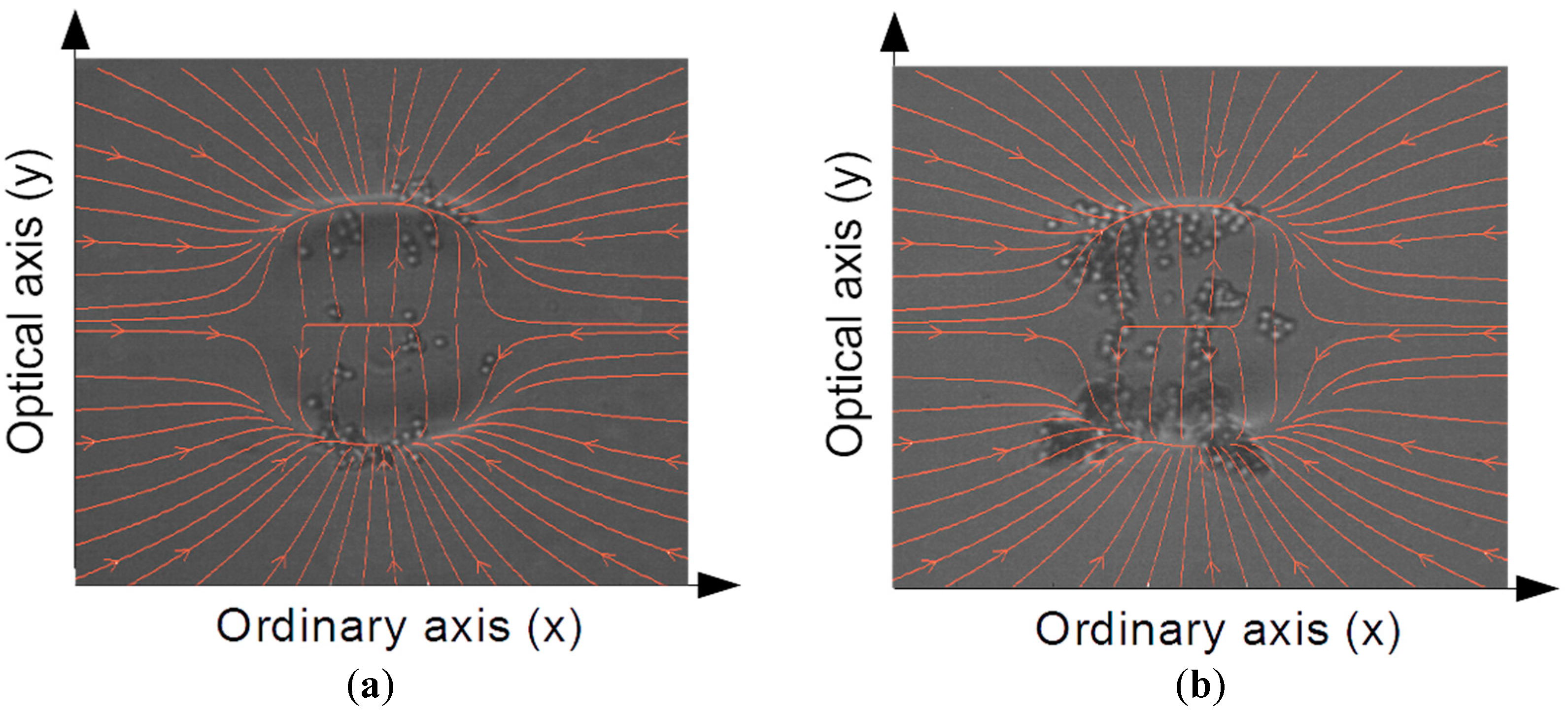 Crystals 06 00123 g005 550