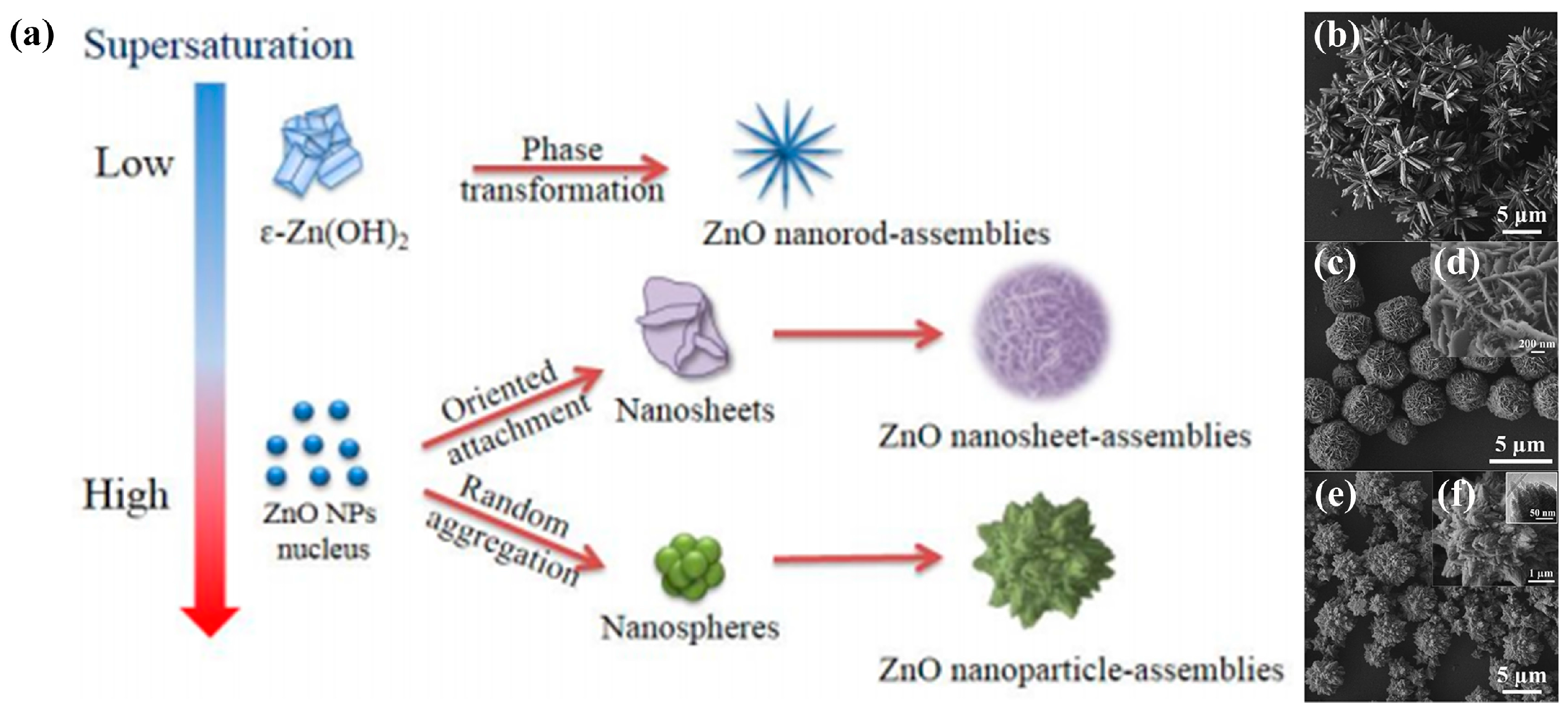 Crystals 06 00148 g008 550