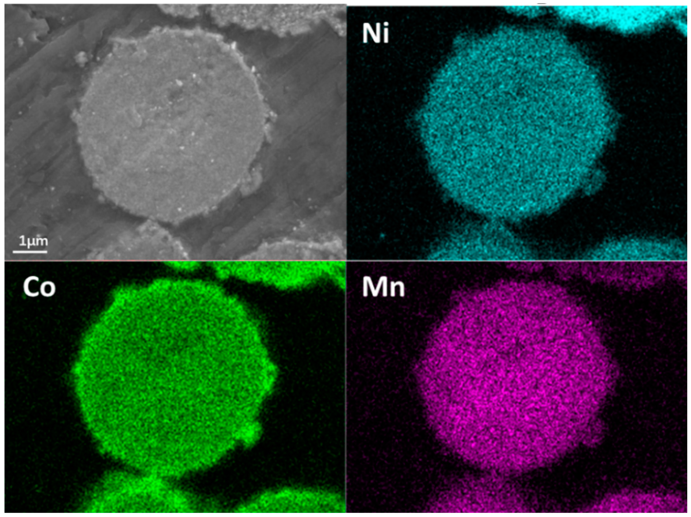 Crystals 06 00156 g010 550