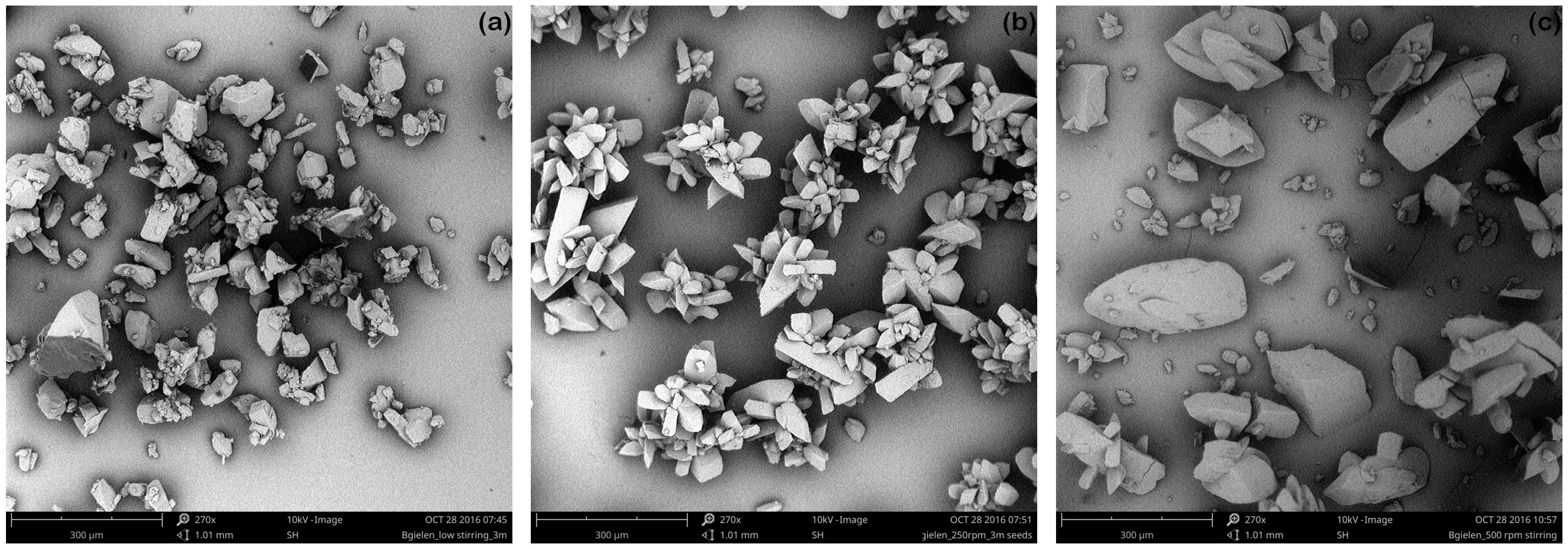 Crystals 07 00040 g006