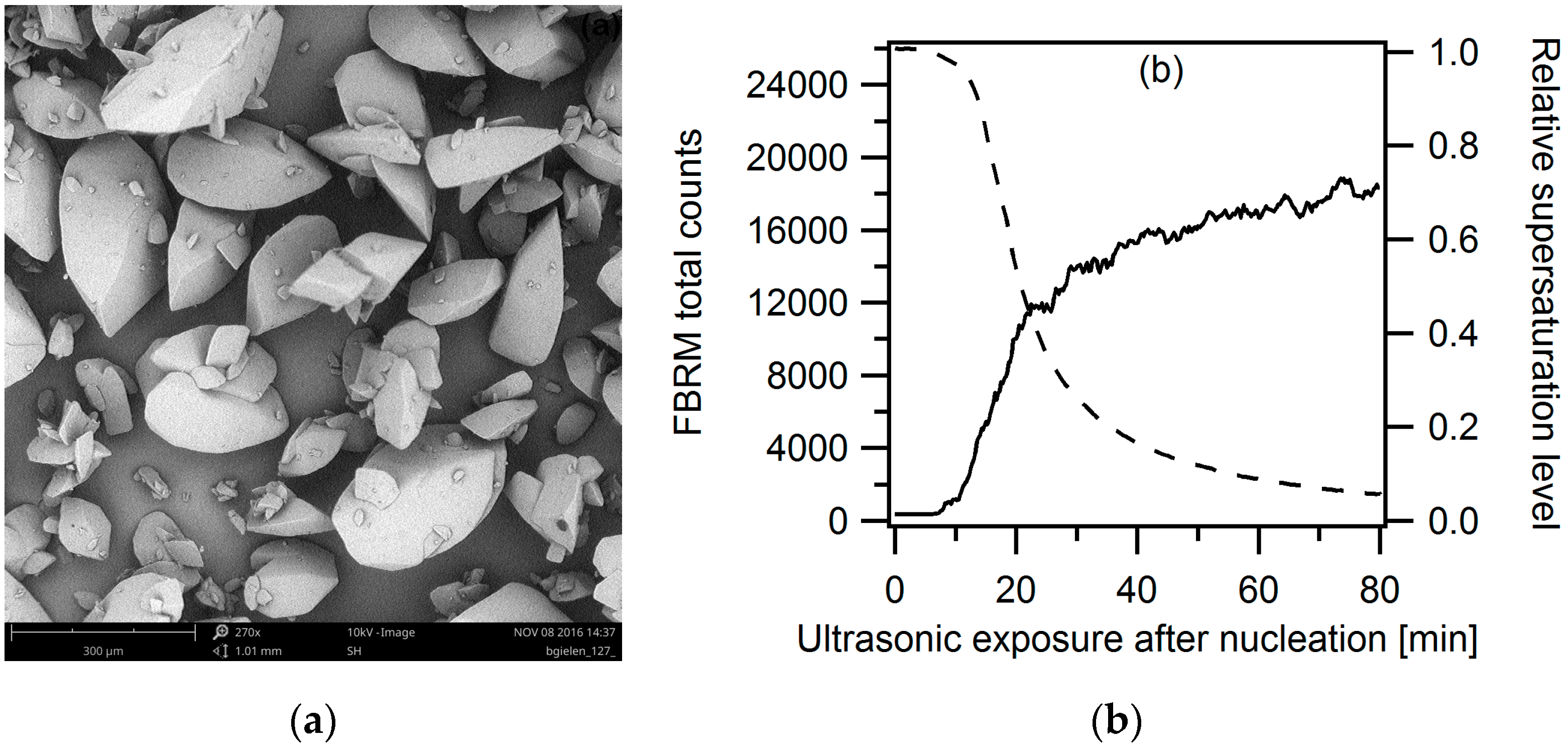Crystals 07 00040 g007