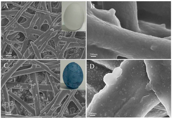 Silver Nanoprism-Loaded Eggshell Membrane: A Facile Platform