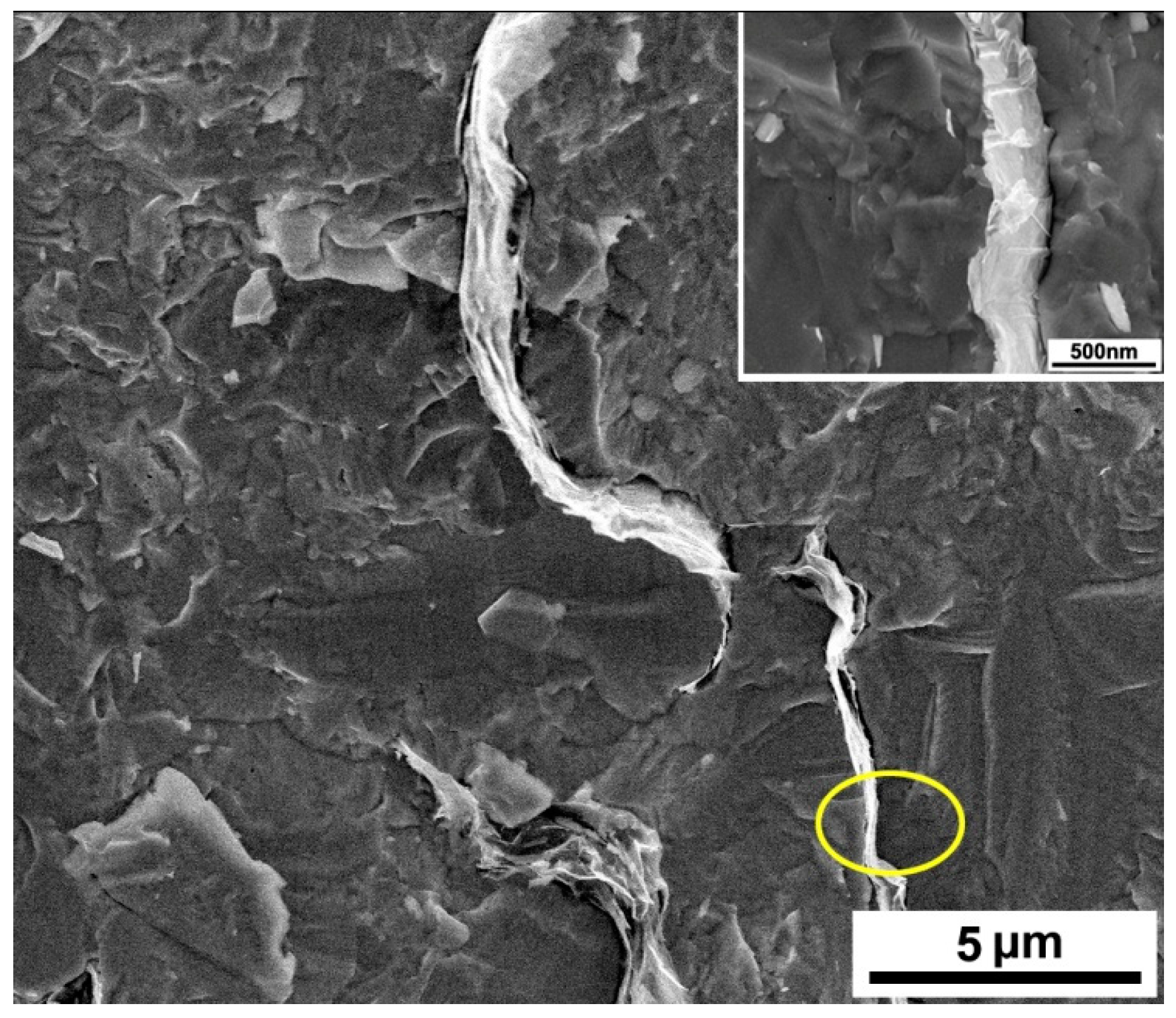 Crystals 07 00071 g007 550