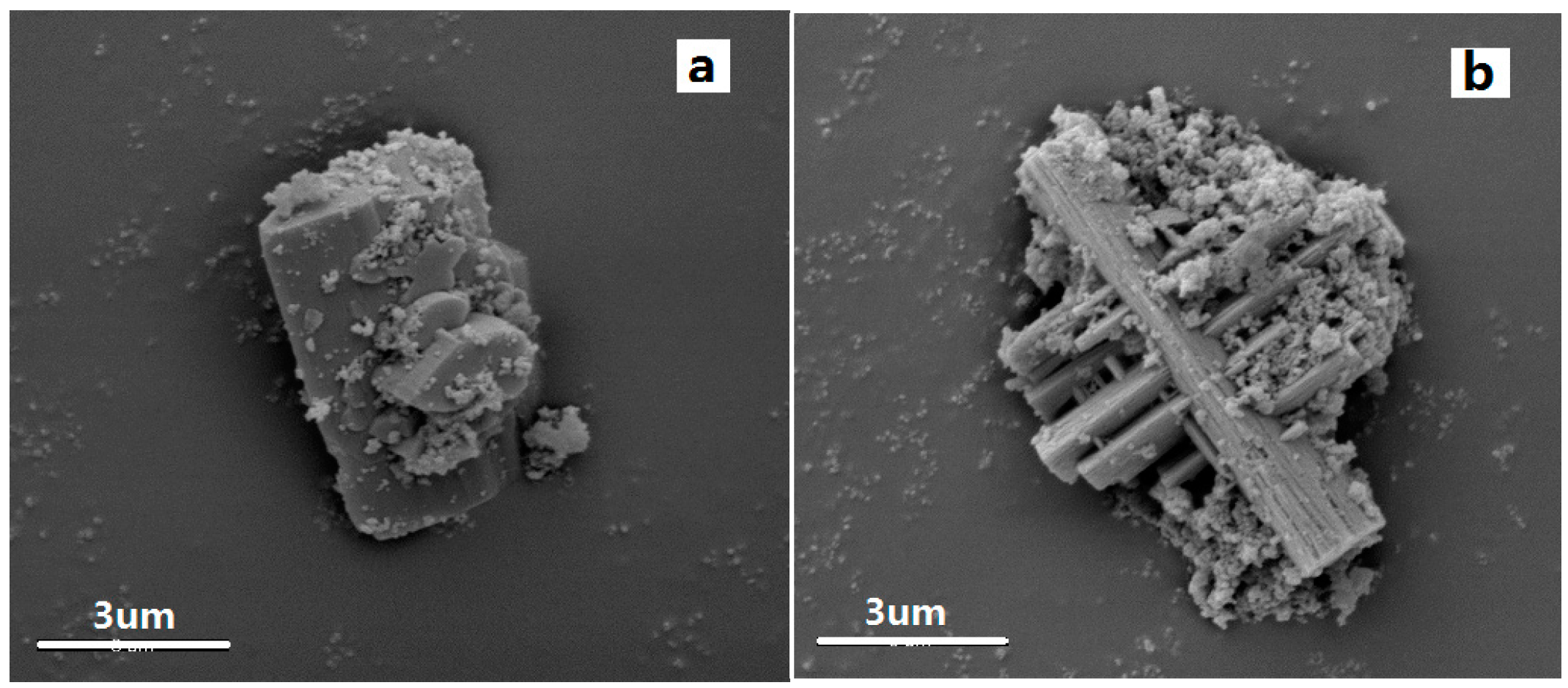 Crystals 07 00089 g006 550