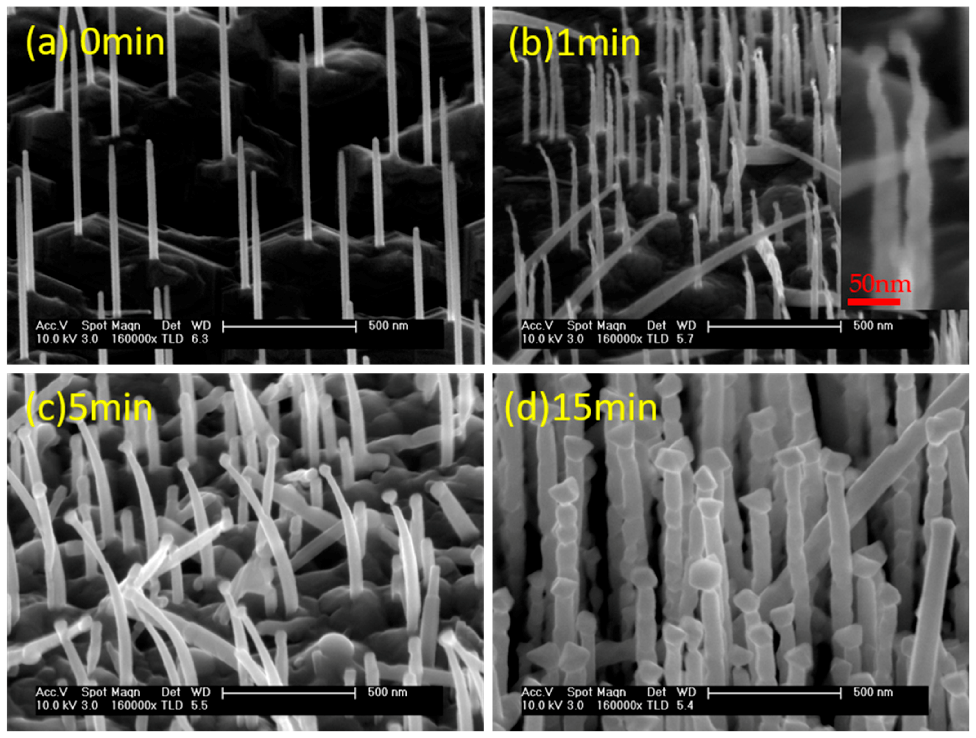 Crystals 07 00094 g001