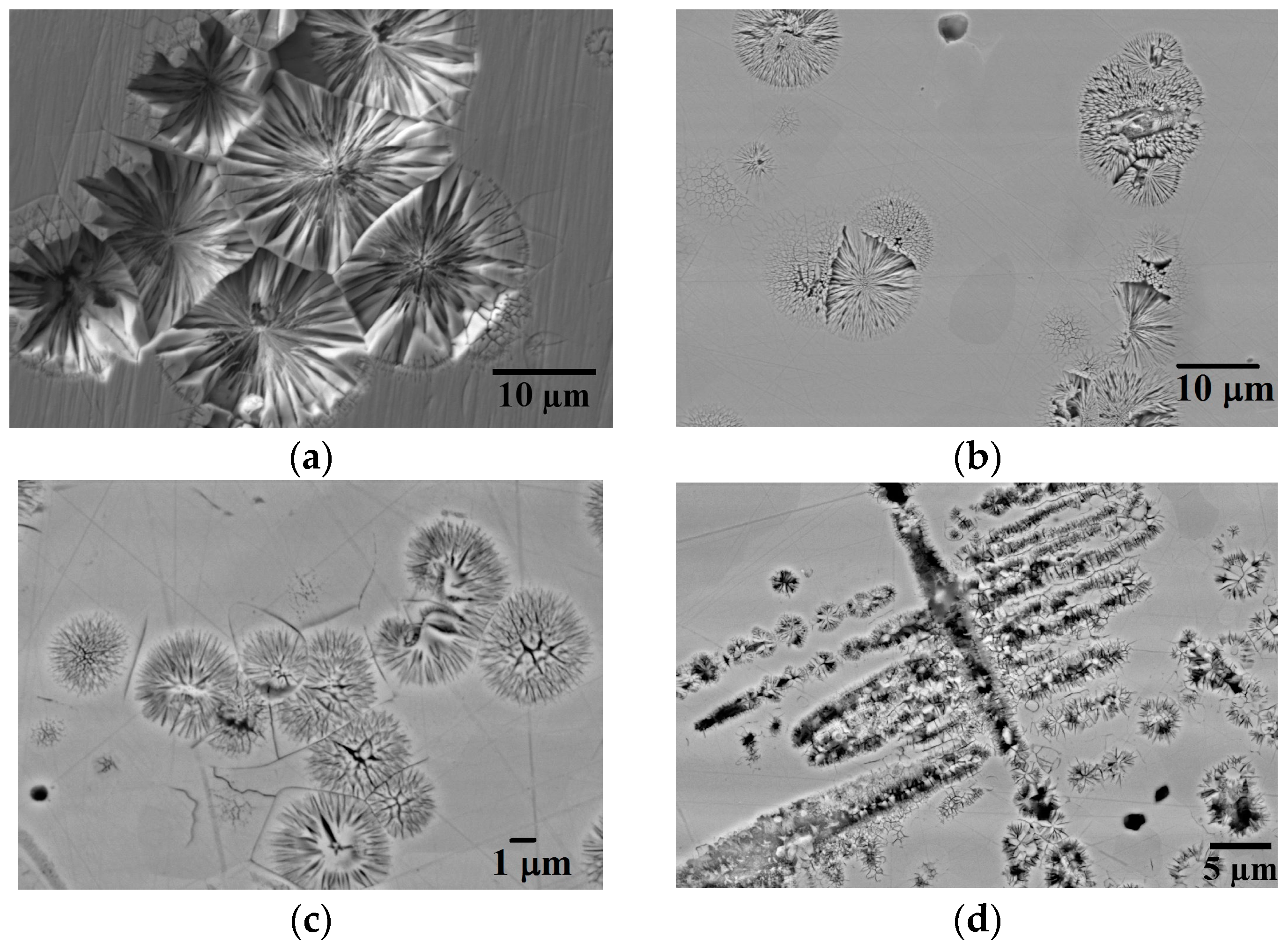 Crystals 07 00100 g001 550