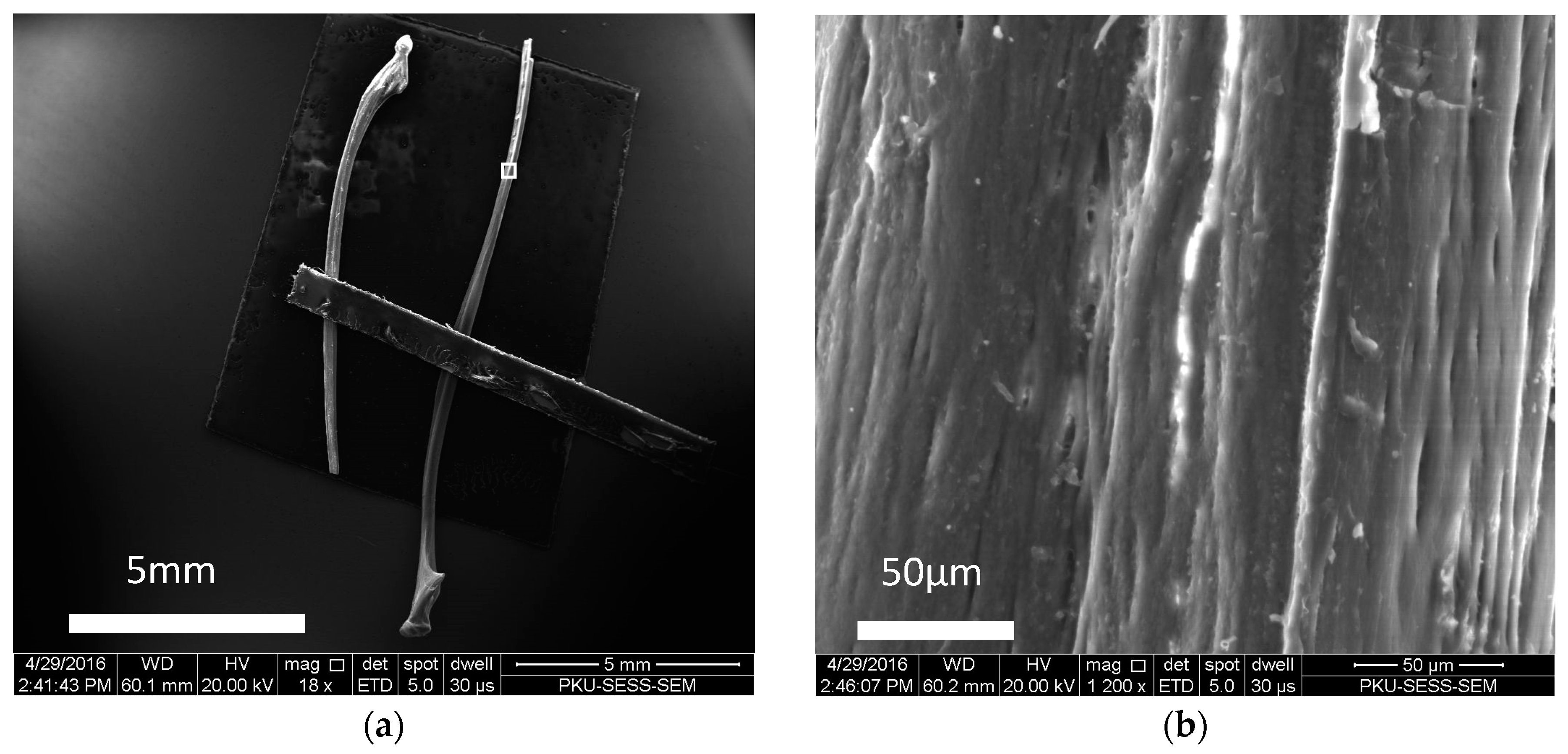 Crystals 07 00103 g001 550