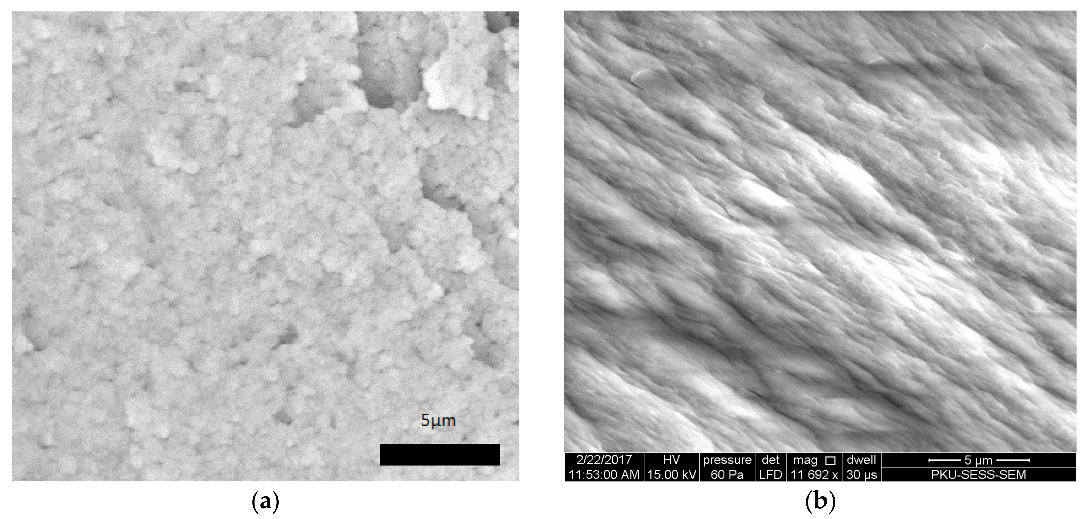 Crystals 07 00103 g006 550