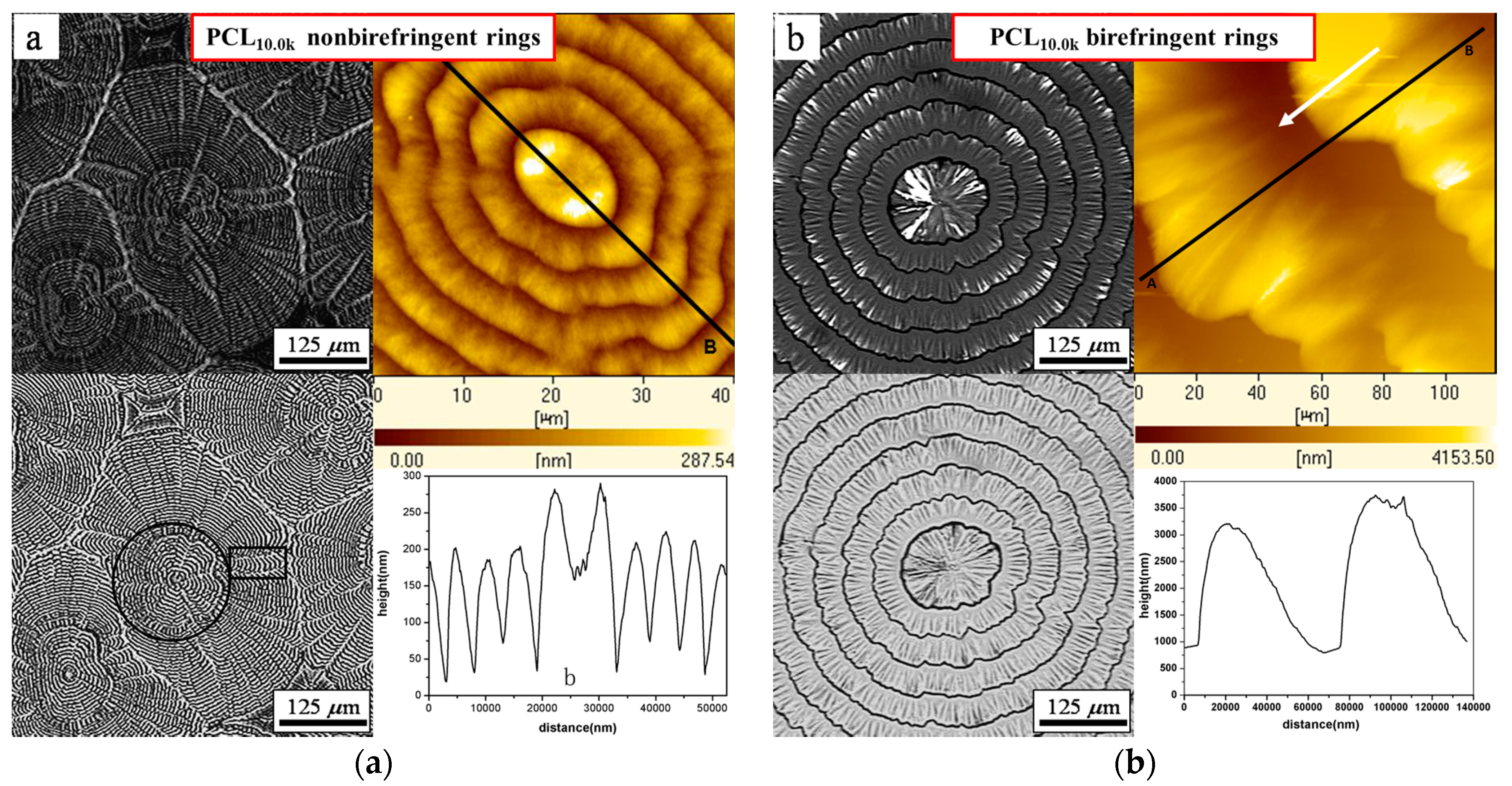 Crystals 07 00115 g004
