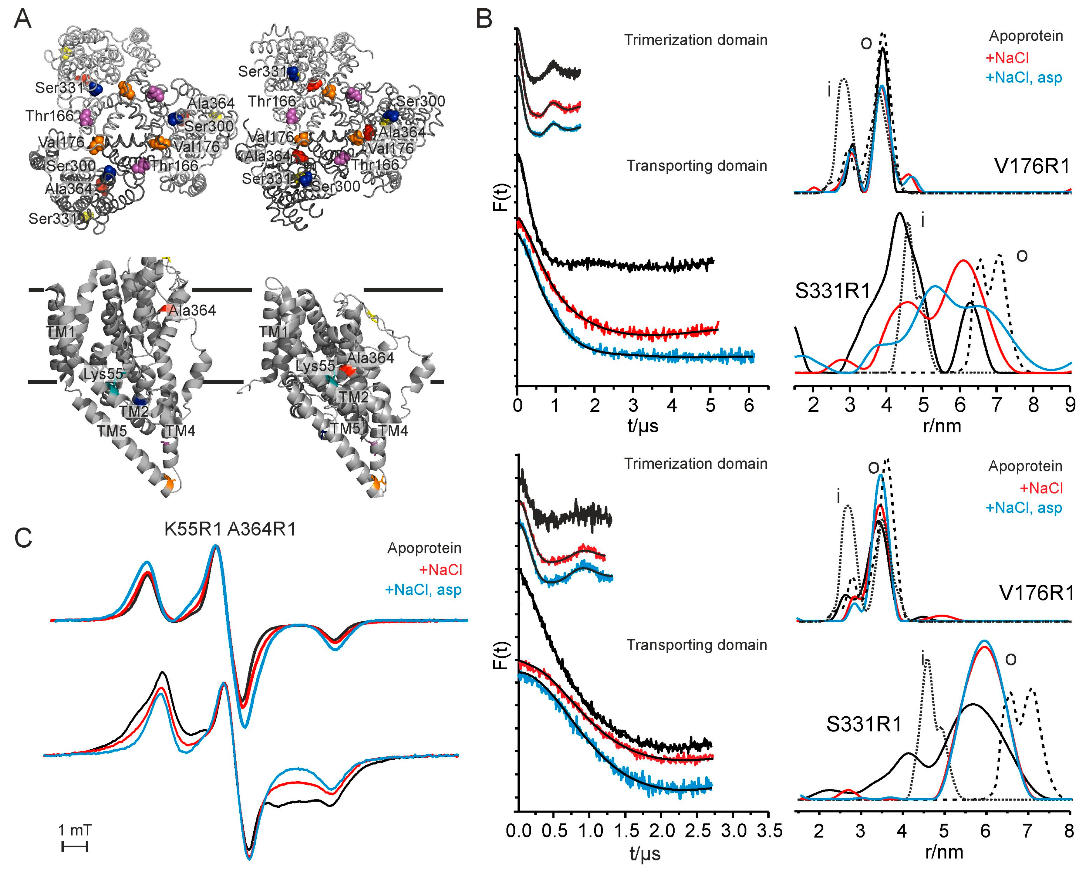 Crystals 07 00117 g007