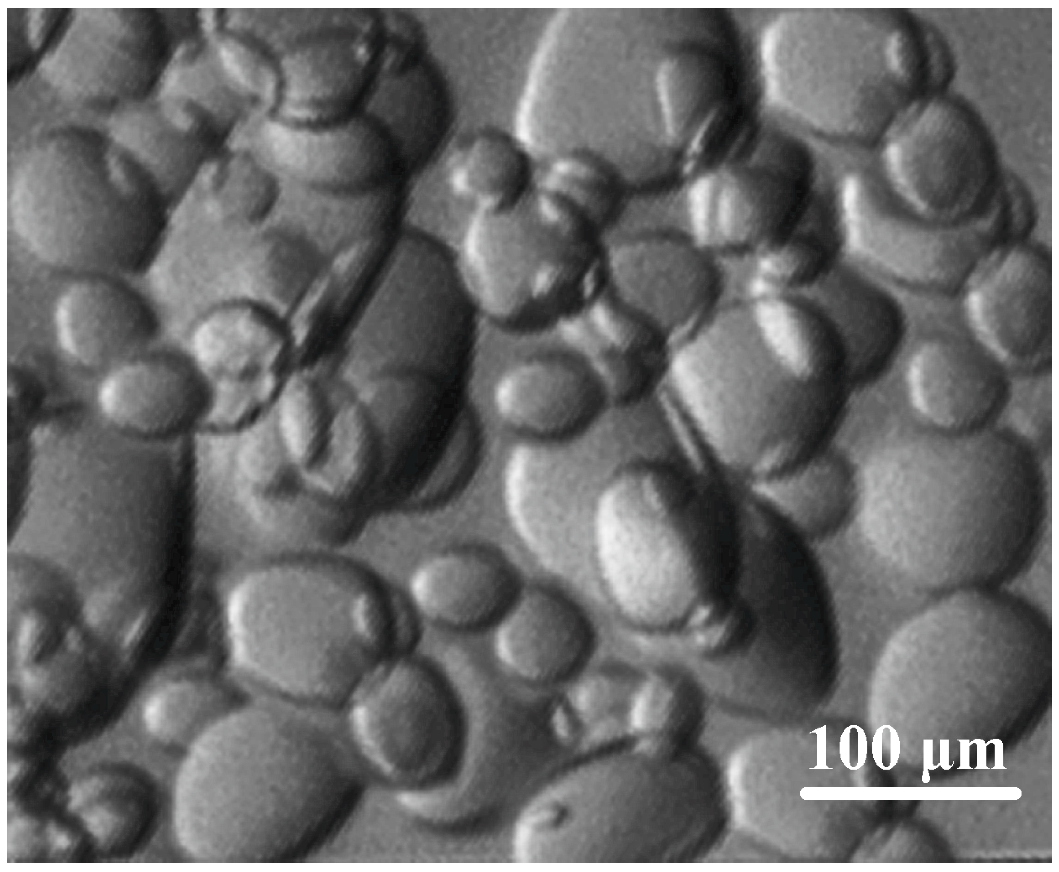 Crystals 07 00128 g004 550