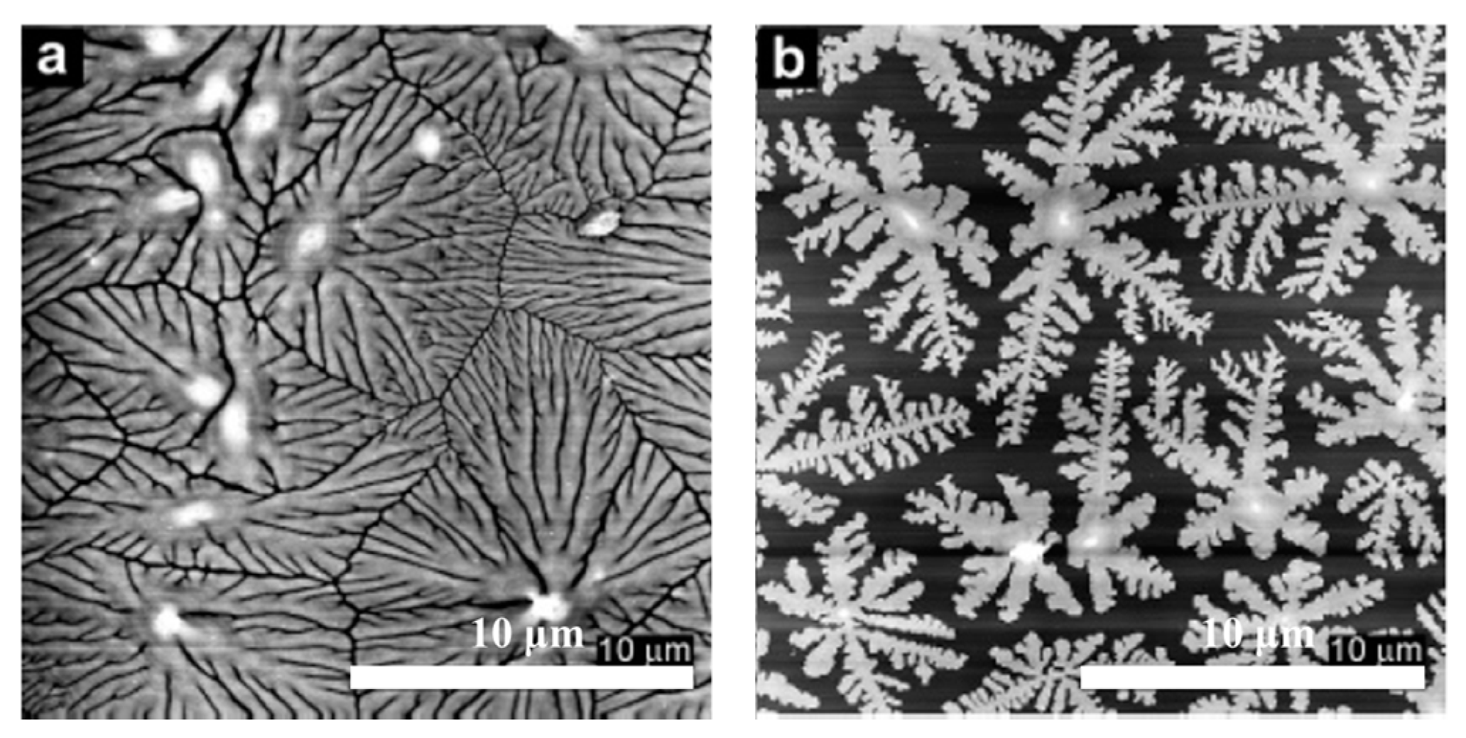 Crystals 07 00147 g003 550