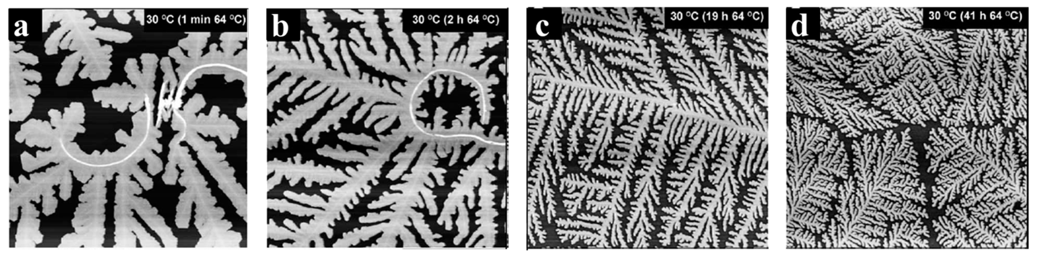 Crystals 07 00147 g006 550