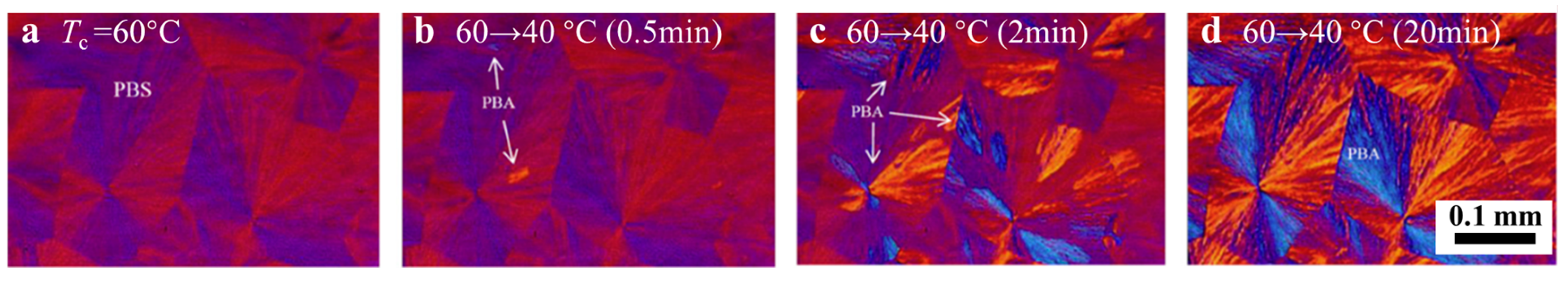 Crystals 07 00147 g009 550