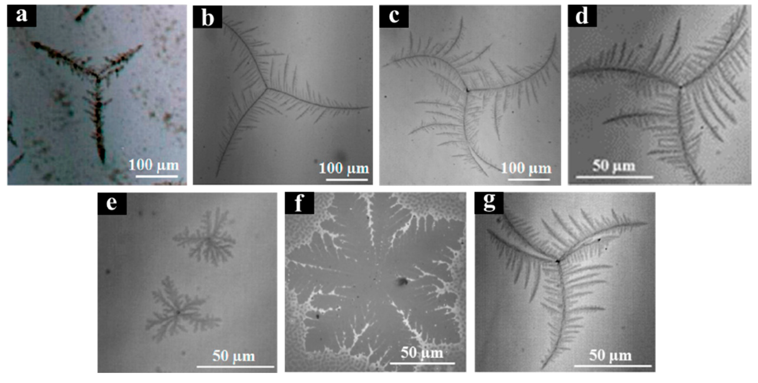 Crystals 07 00147 g010 550