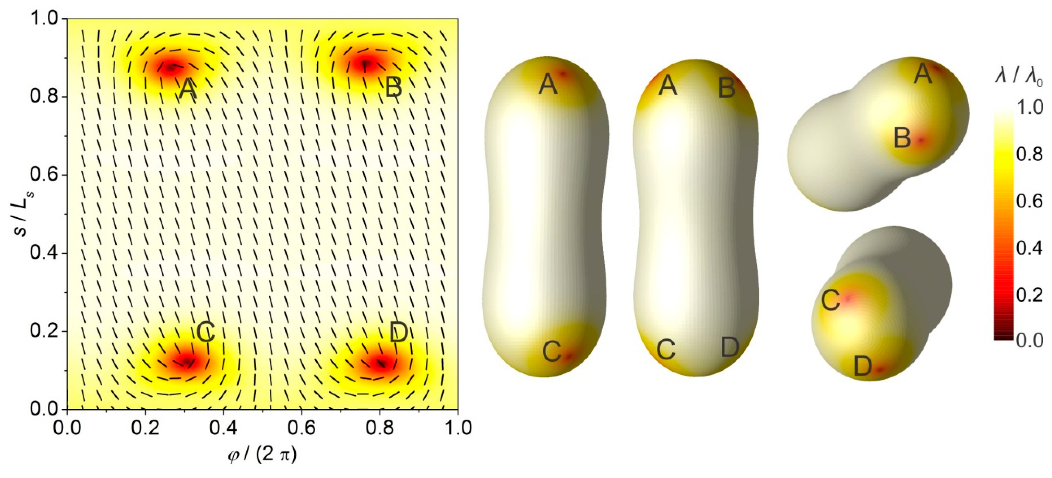 Crystals 07 00153 g005 550