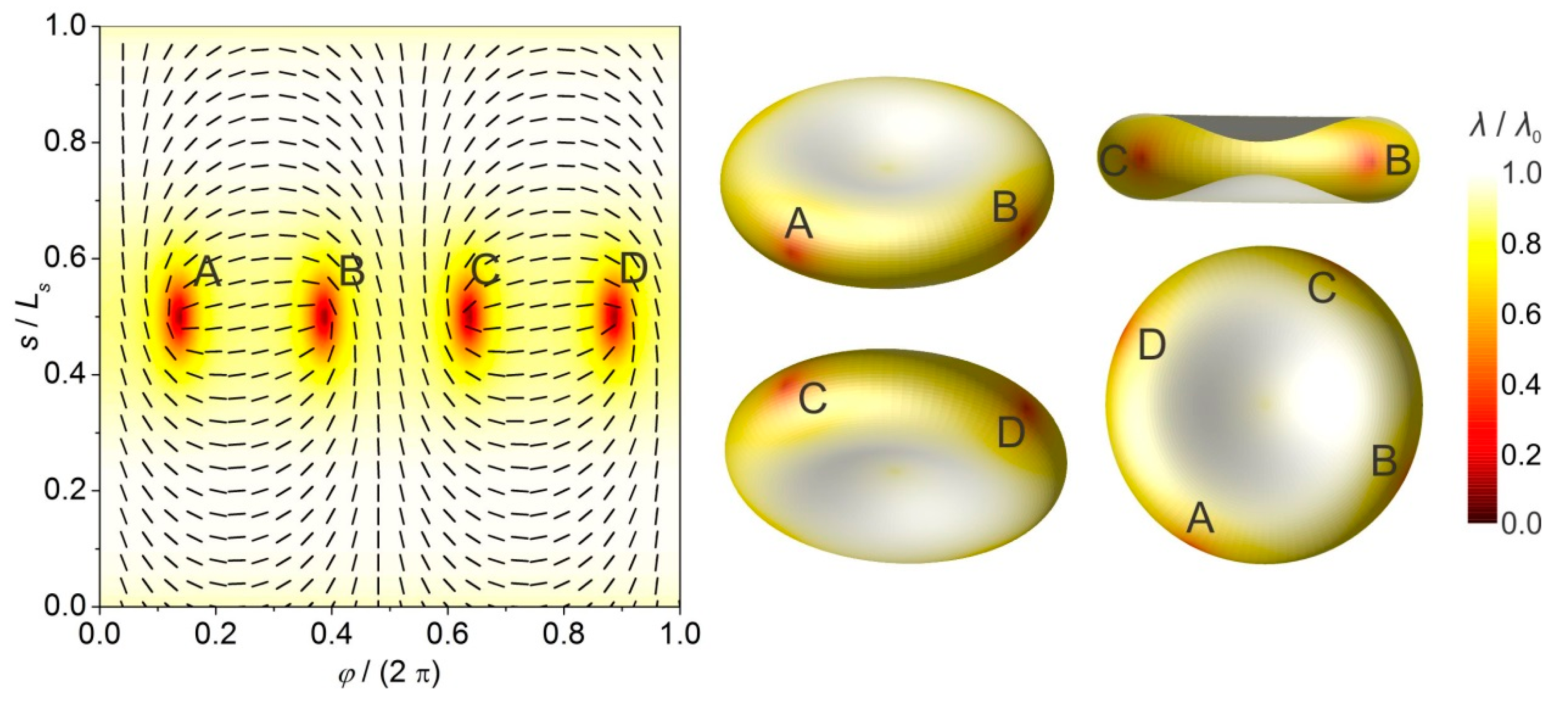 Crystals 07 00153 g006 550