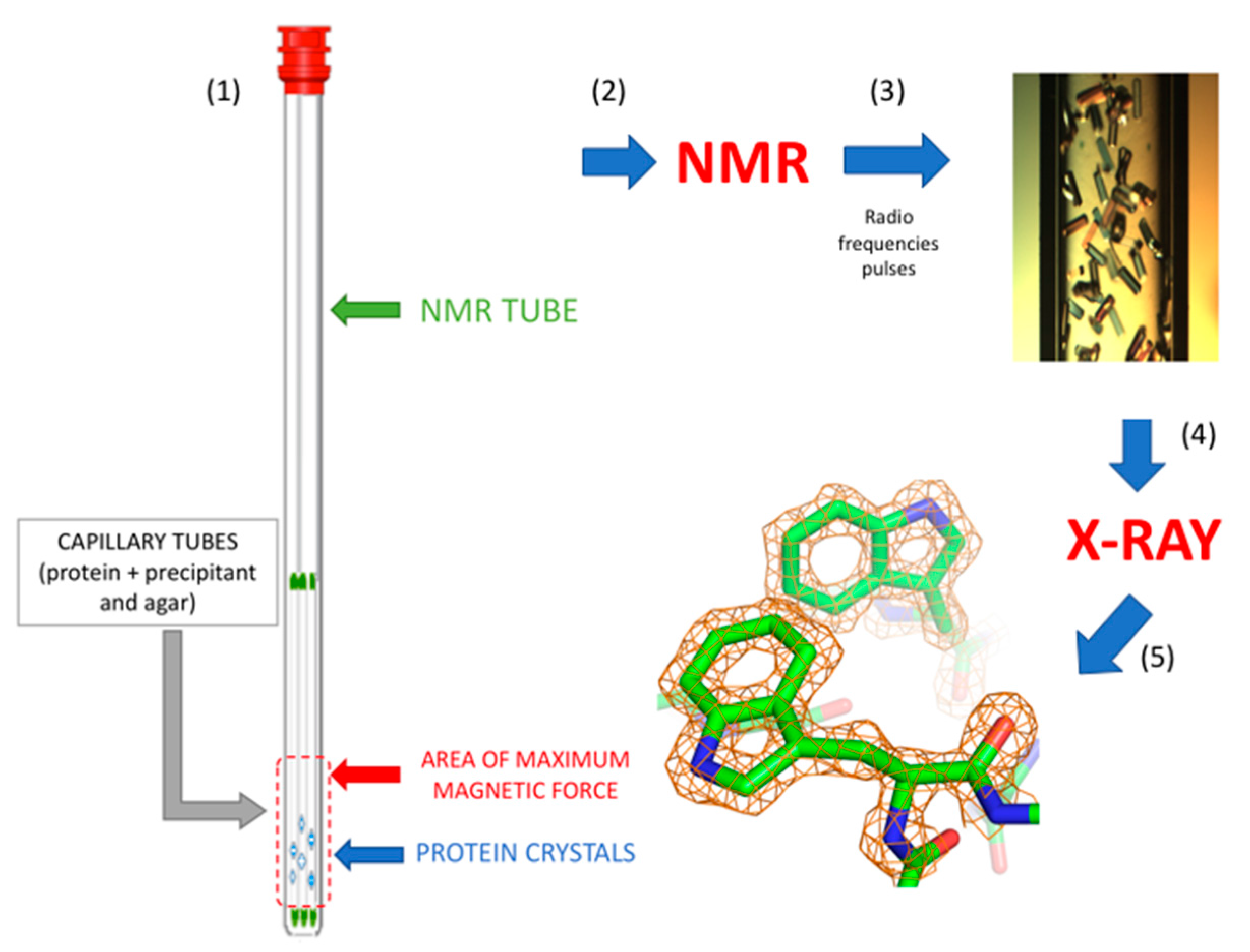 Crystals 07 00179 g005 550