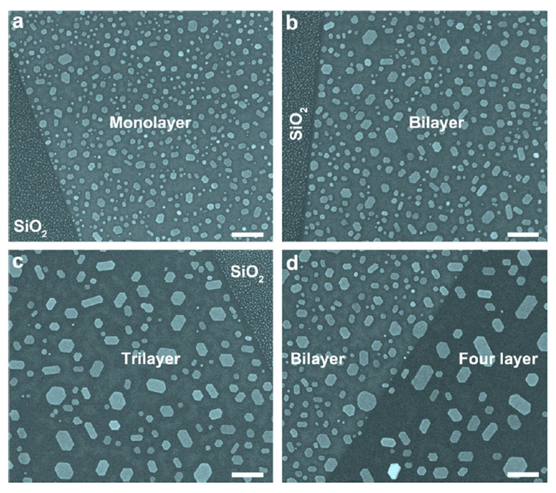 Crystals 07 00219 g023 550