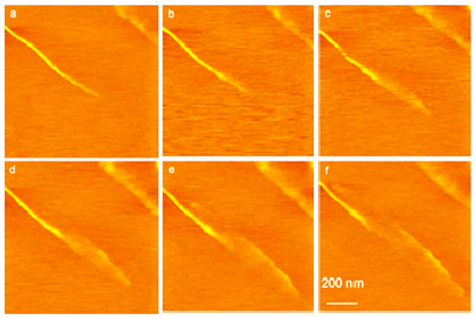 Crystals 07 00241 g006 550