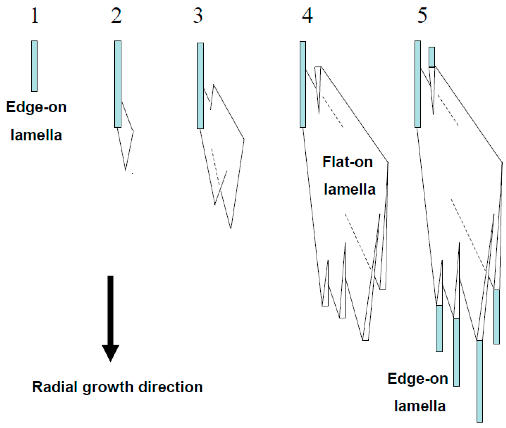 Crystals 07 00241 g012 550