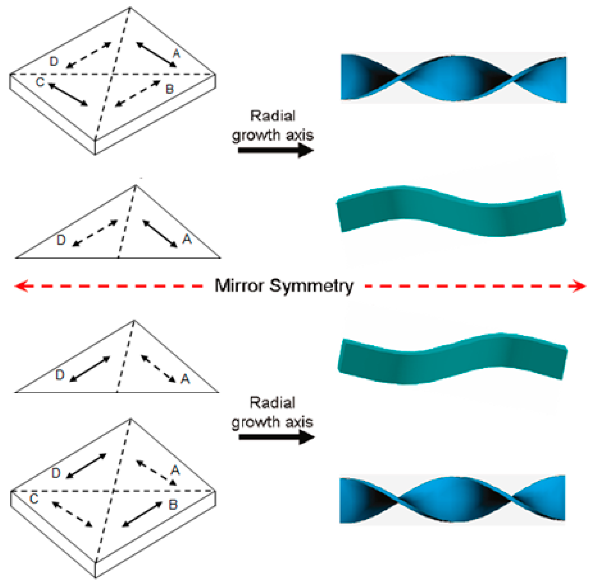 Crystals 07 00241 g017 550