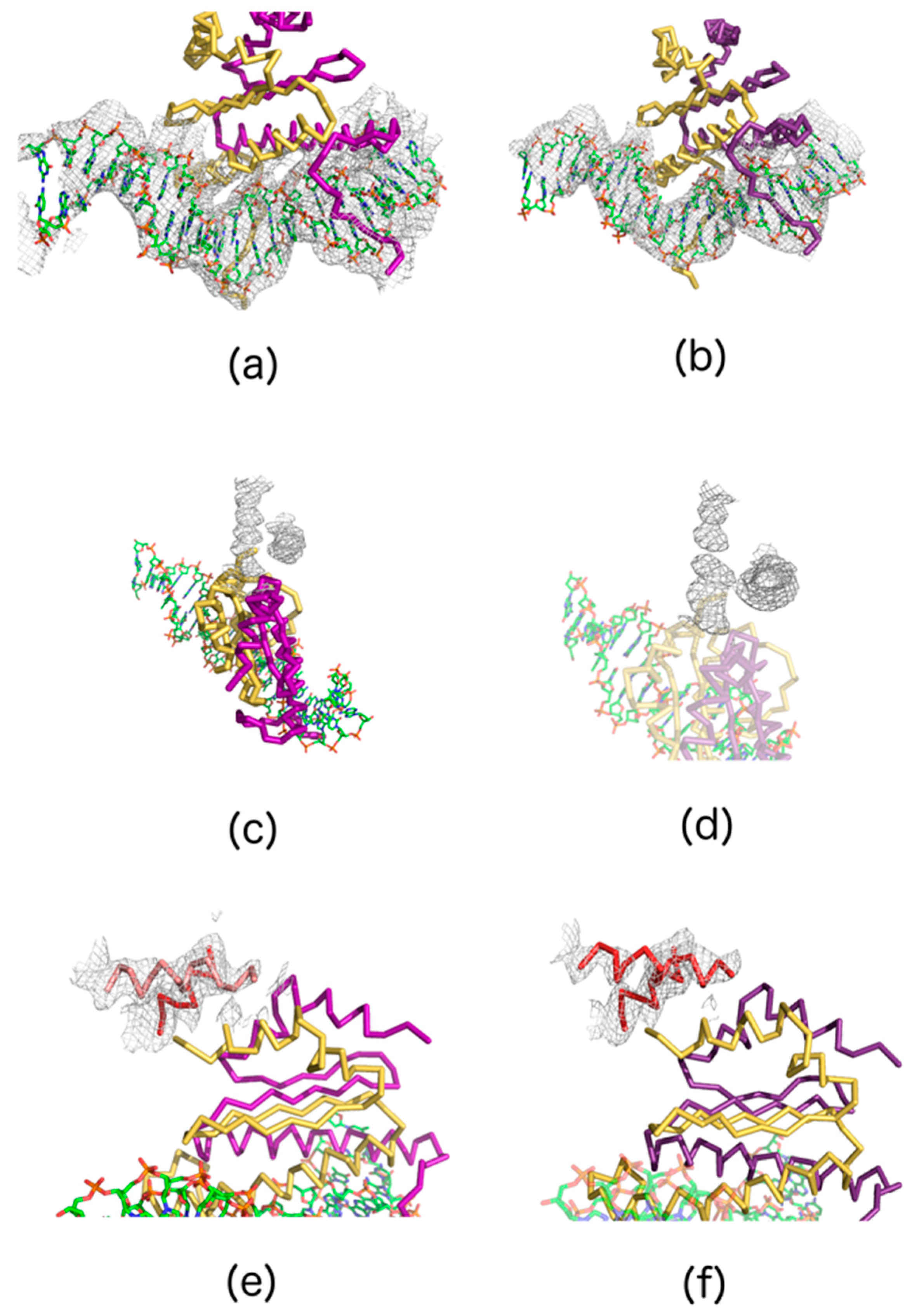 Crystals 07 00242 g007