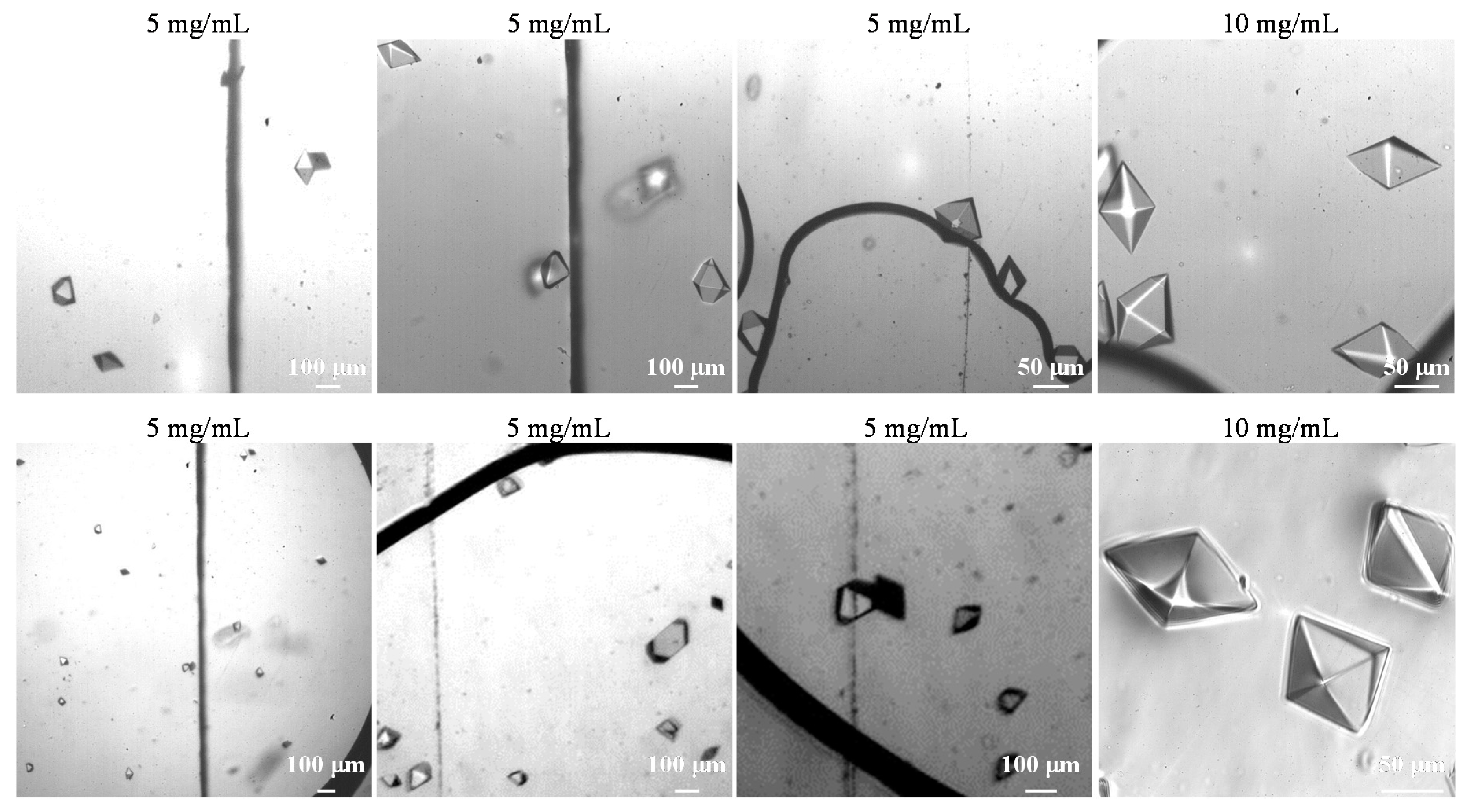 Crystals 07 00245 g005b 550
