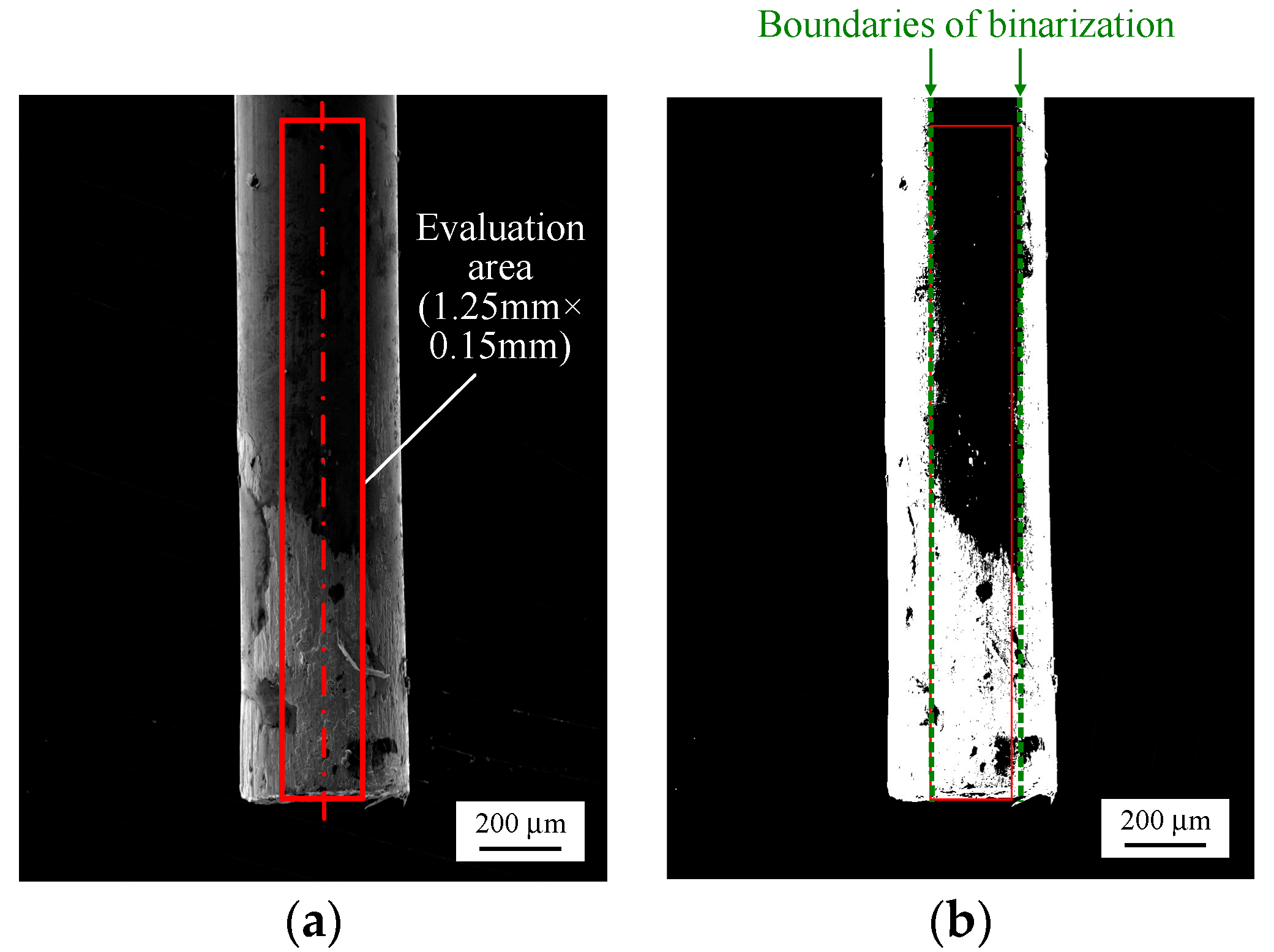 Crystals 07 00255 g003