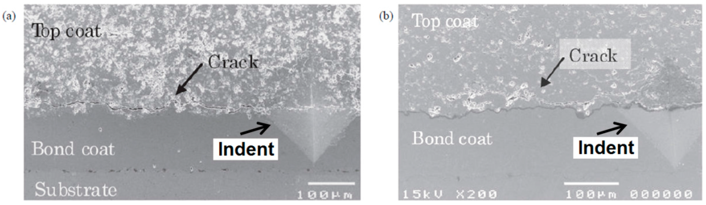 Crystals 07 00258 g010 550