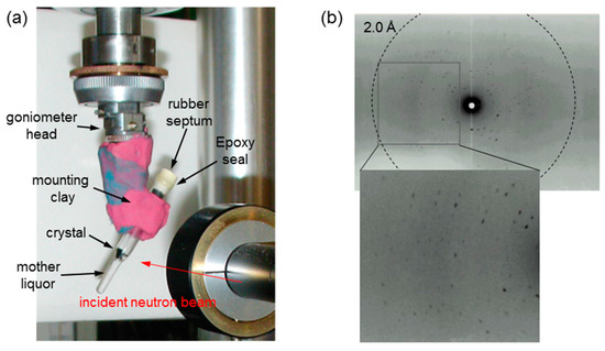 Crystals Free Full Text Size And Shape Controlled Crystallization Of Hemoglobin For Advanced Crystallography Html