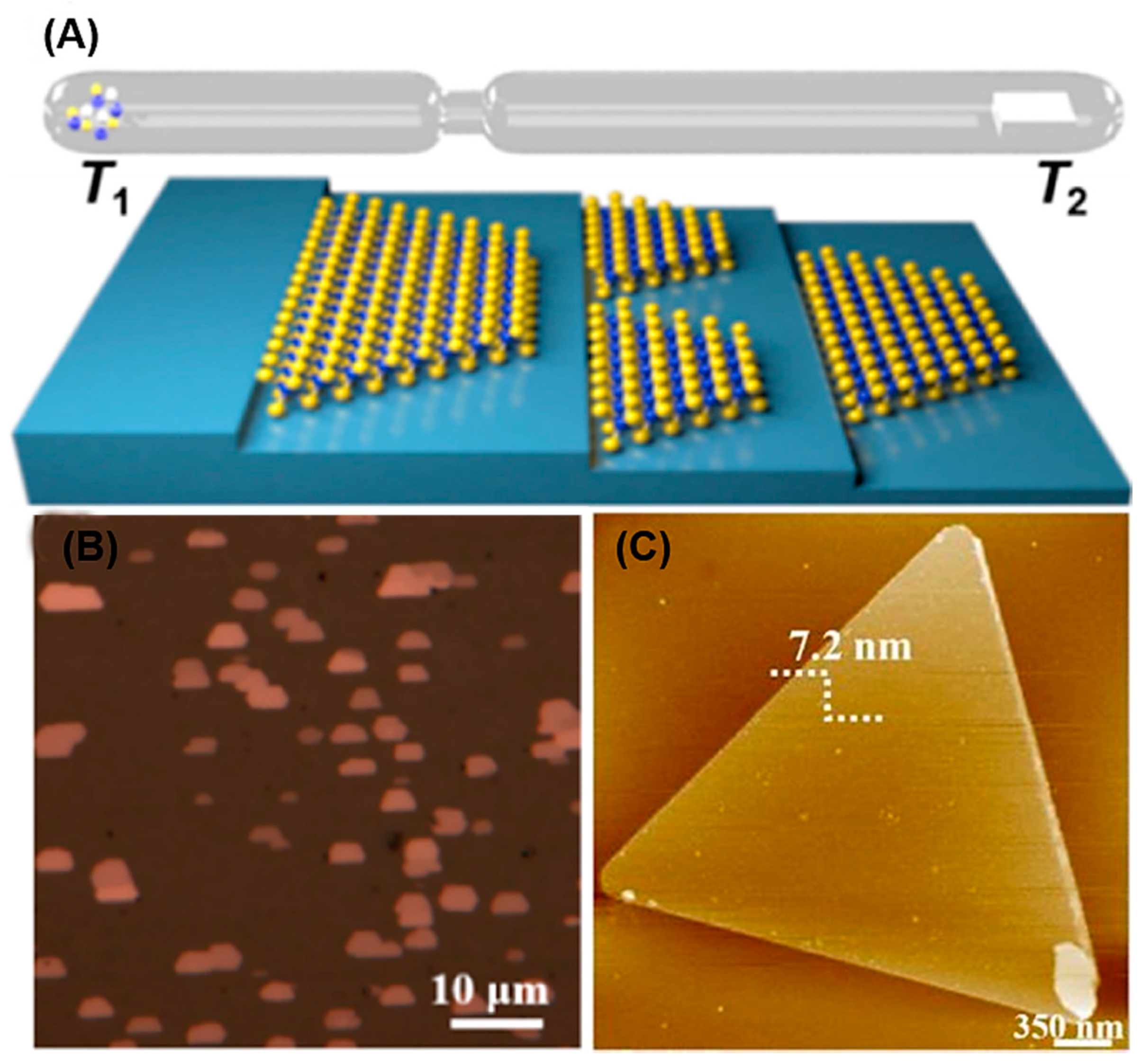 Crystals 07 00298 g005