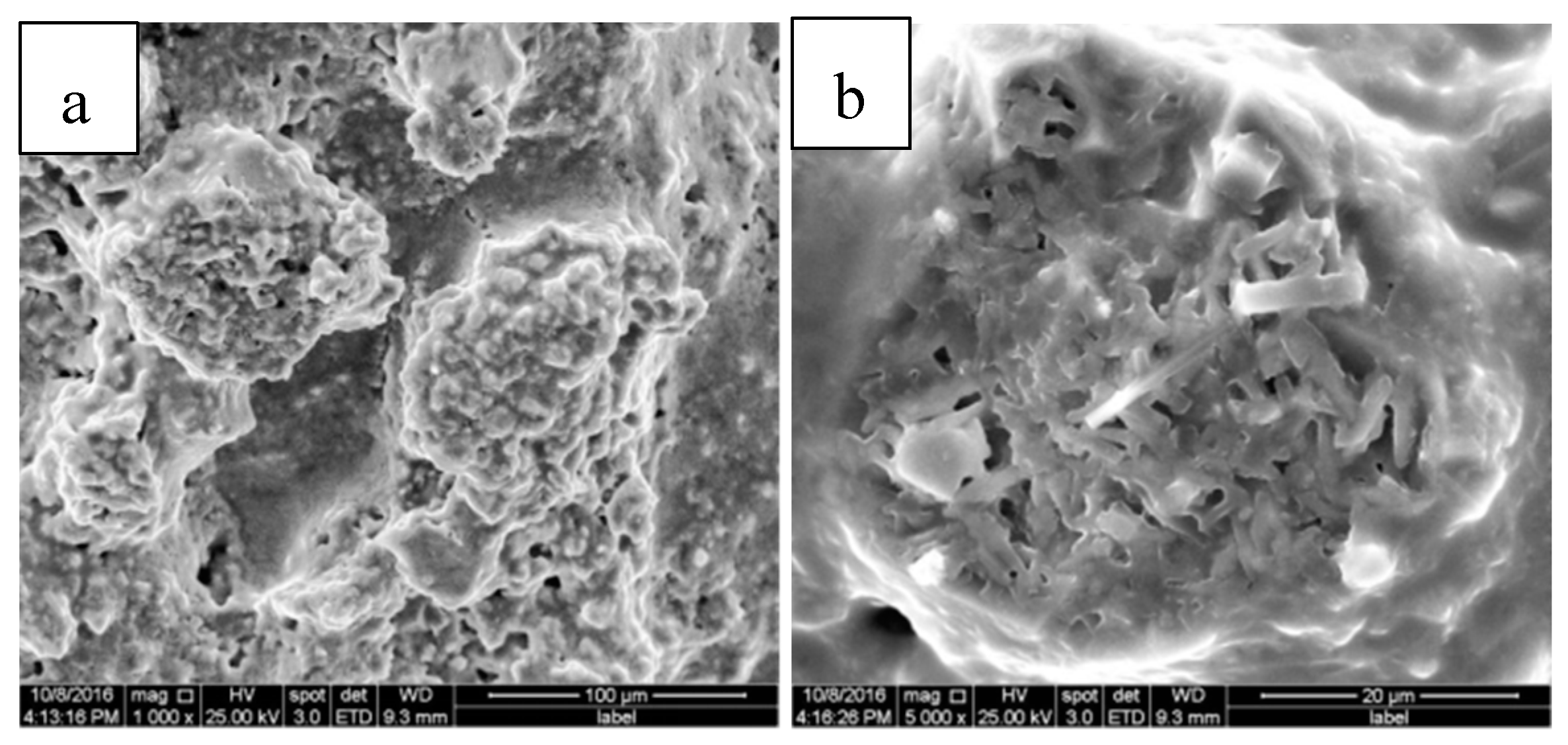 Crystals 07 00312 g008