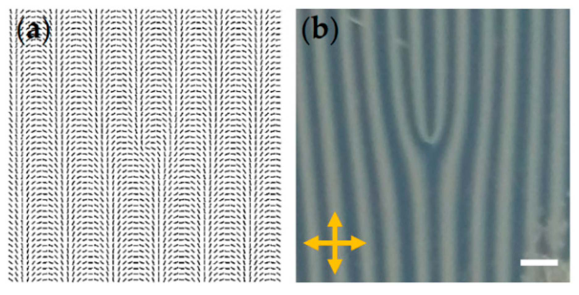 Crystals 07 00314 g002