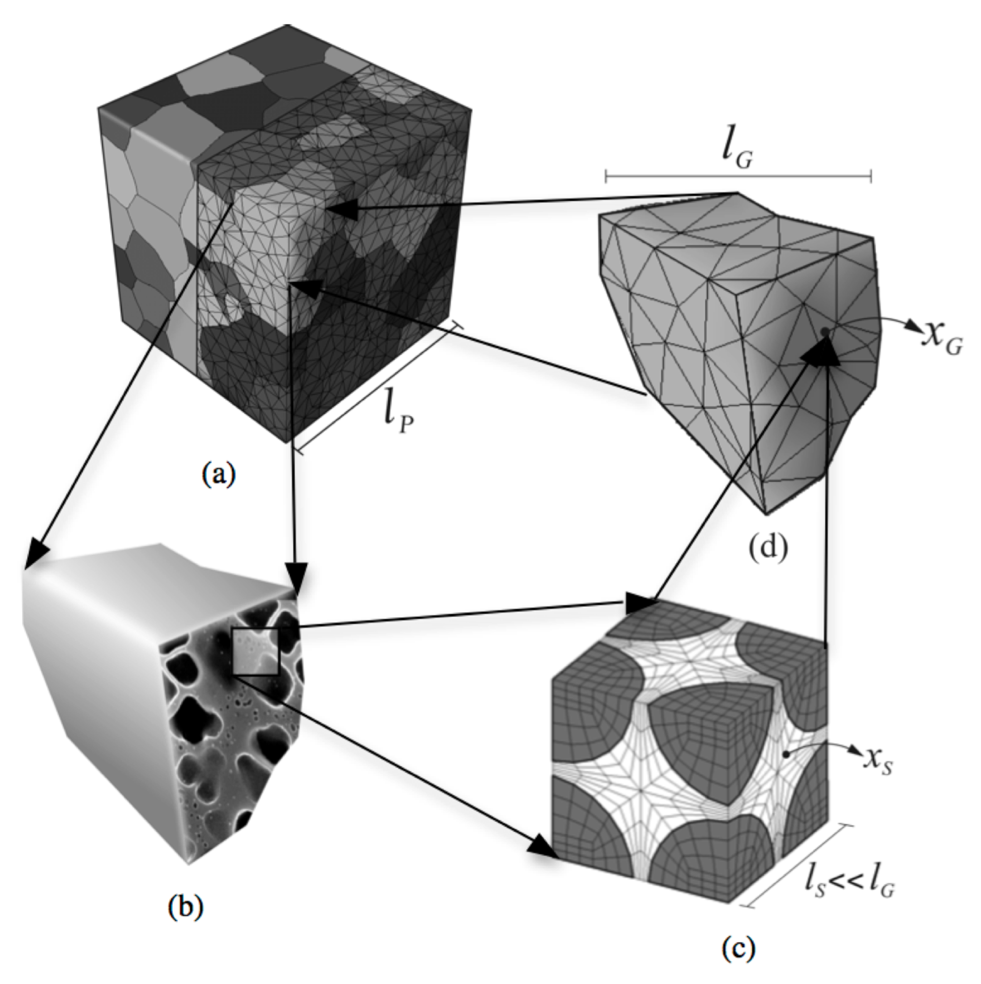 Crystals 07 00334 g003 550