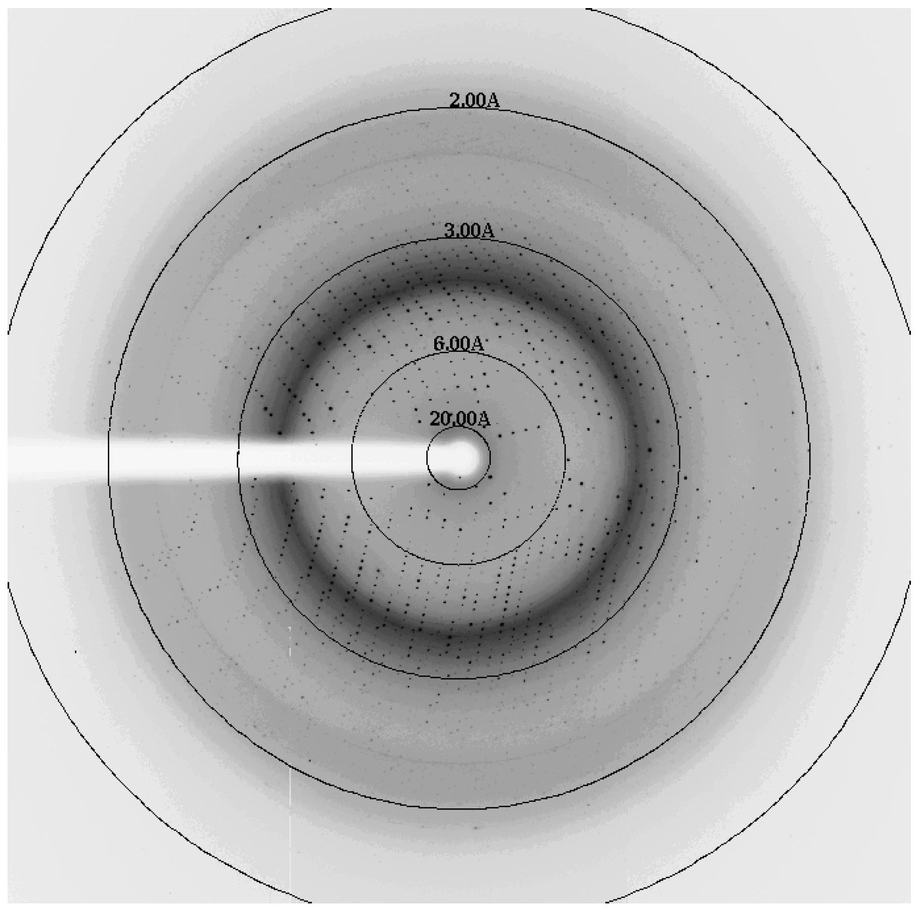 Crystals 07 00344 g003 550