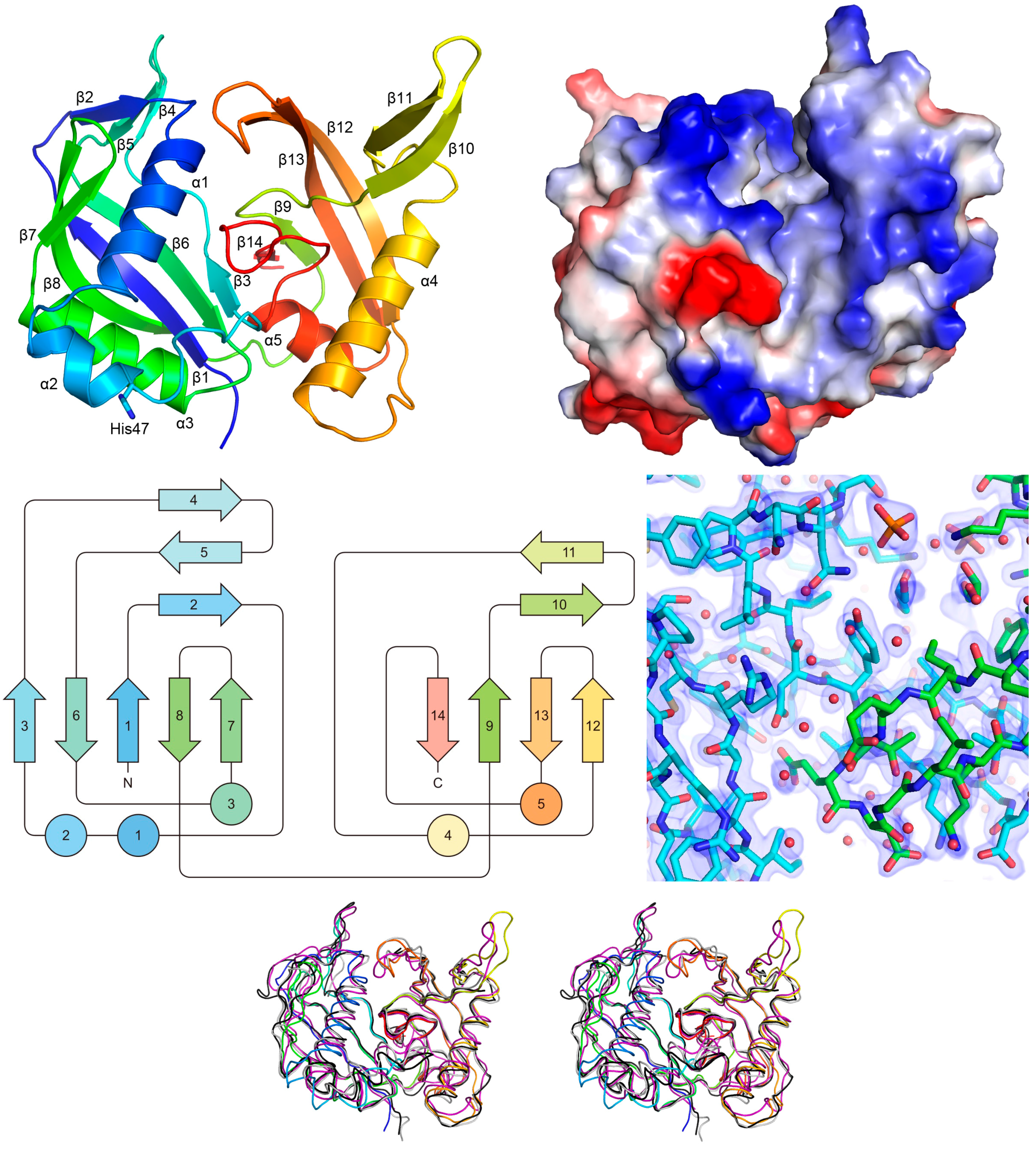 Crystals 07 00344 g004 550
