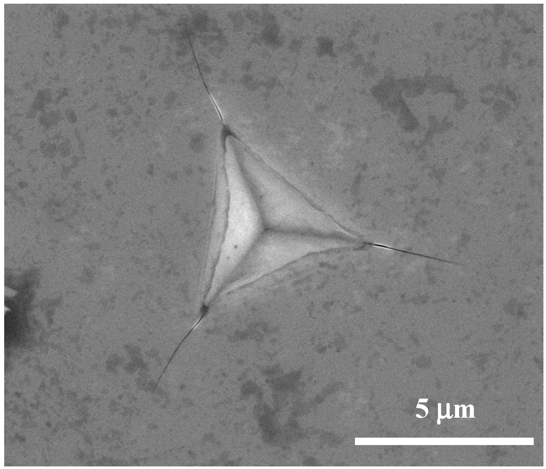 Crystals 07 00347 g001