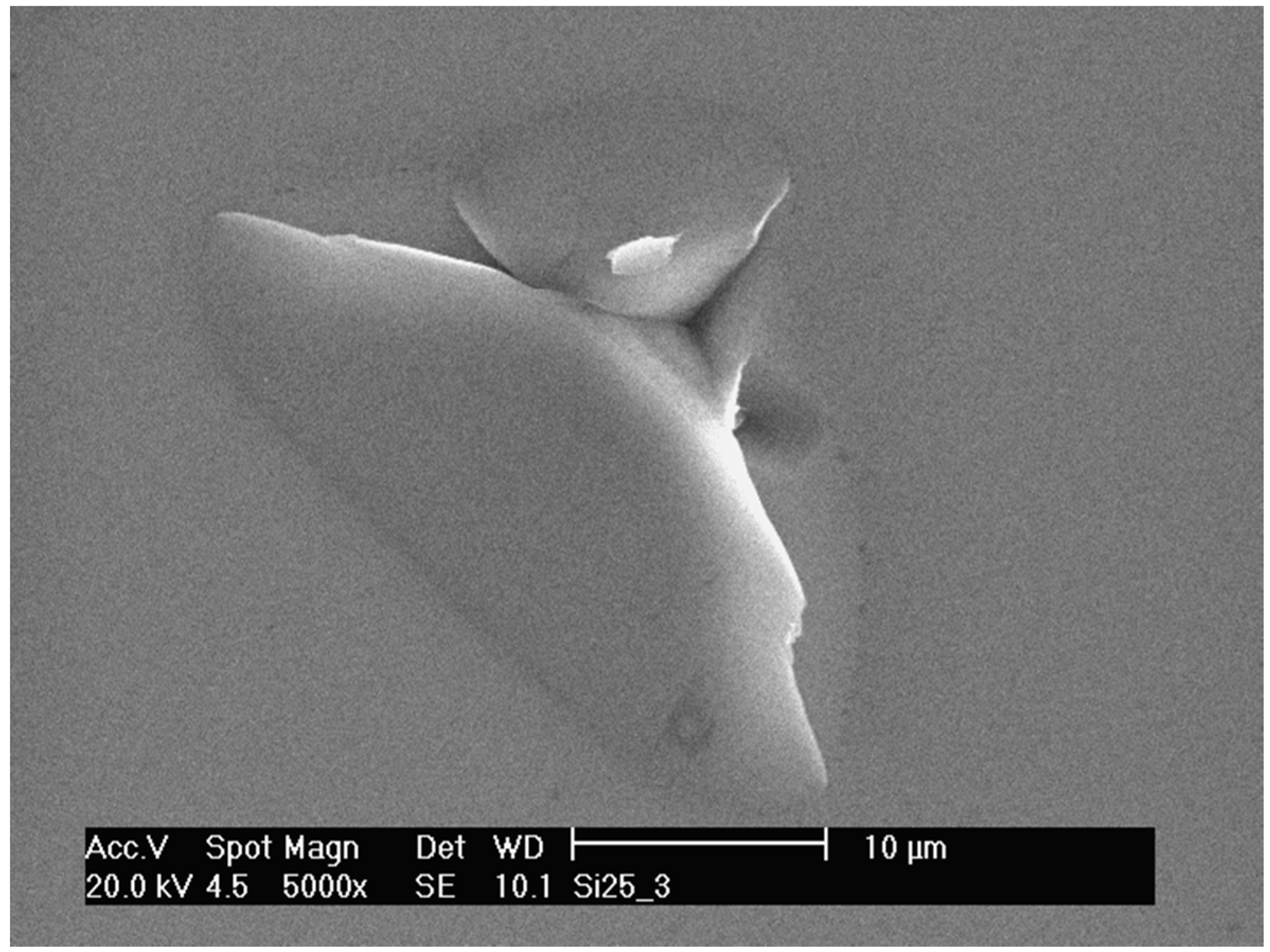 Crystals 07 00347 g005