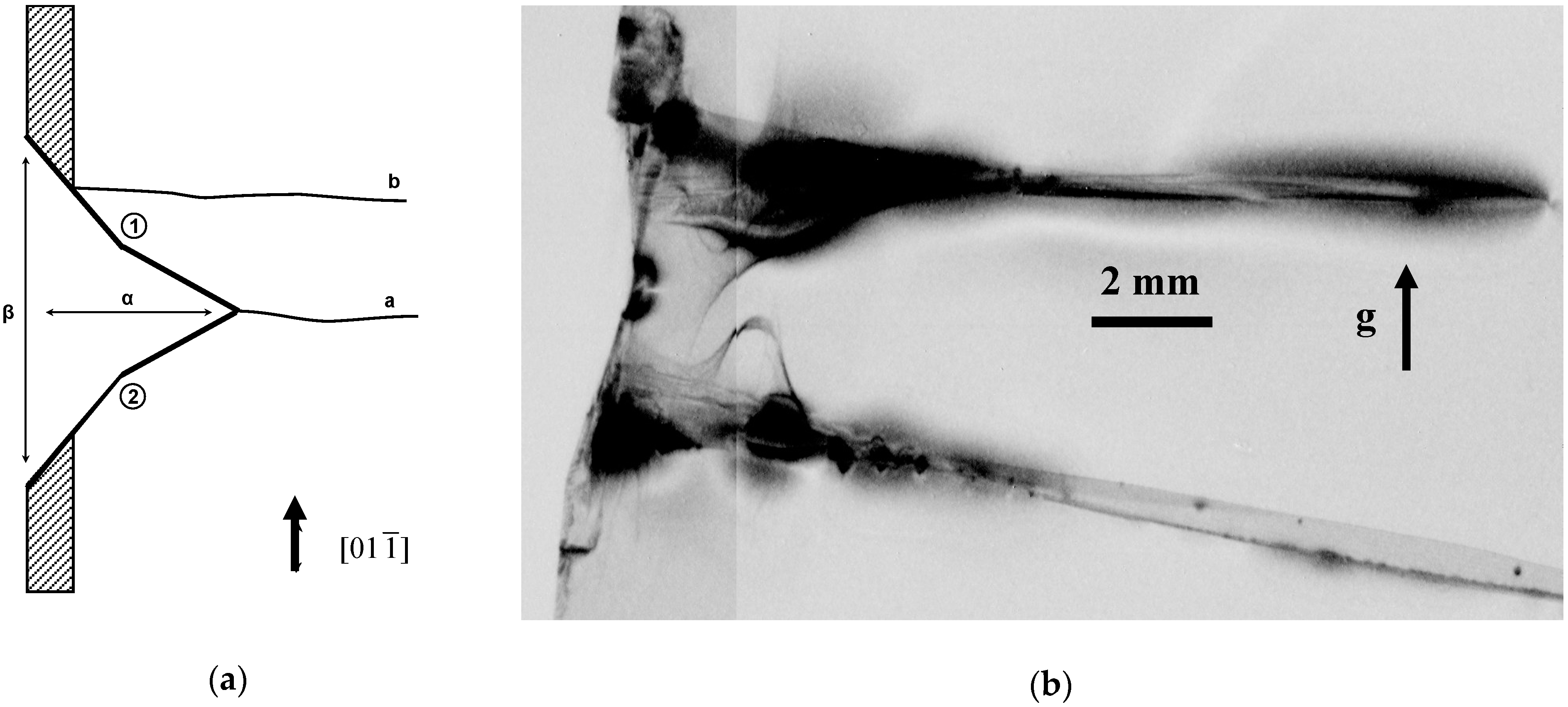 Crystals 07 00347 g006