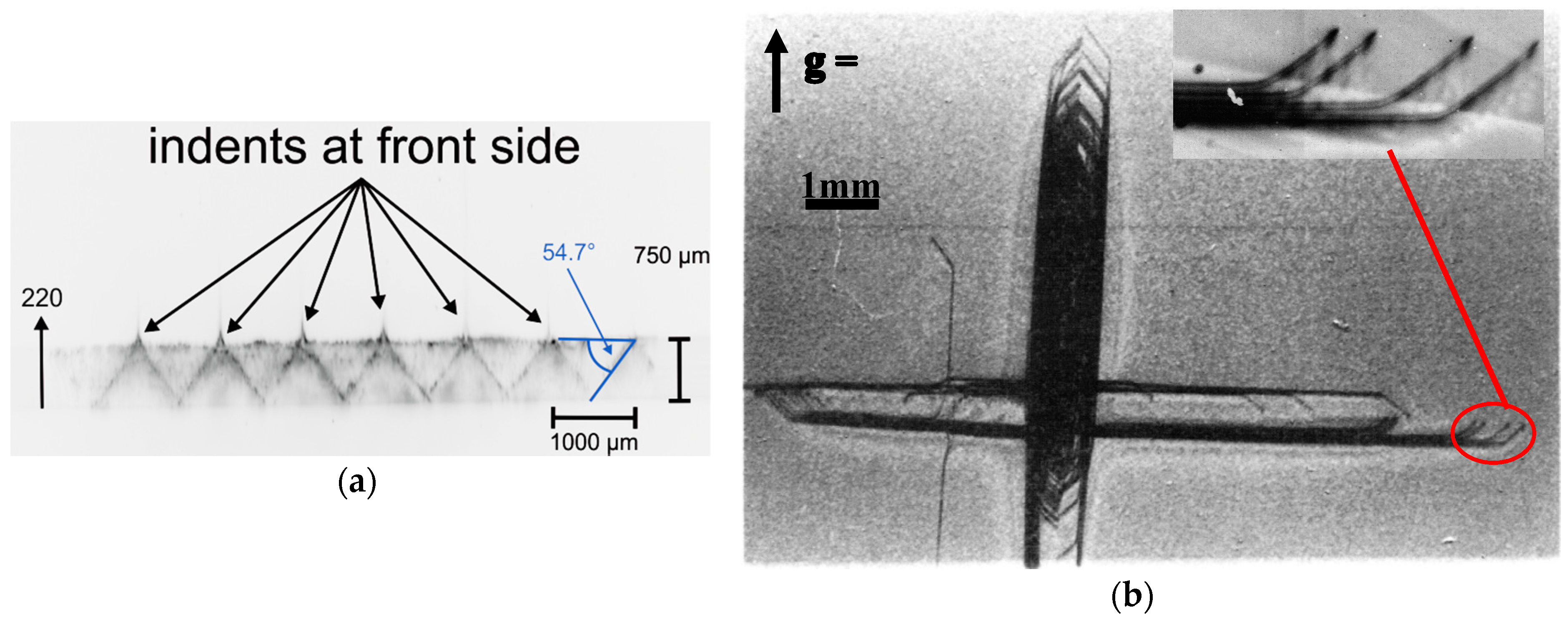 Crystals 07 00347 g008