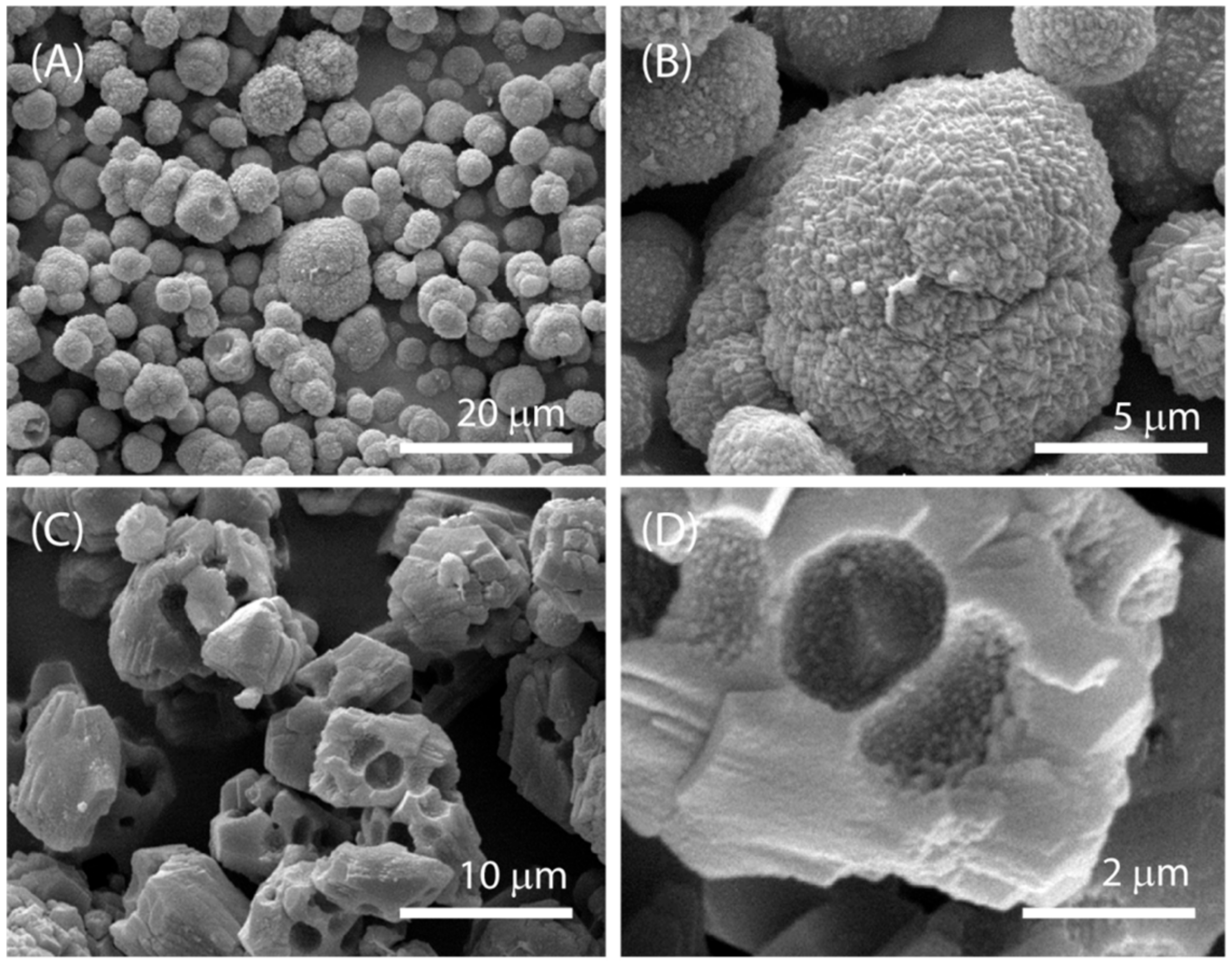 Calcium Carbonate – EVACHEM