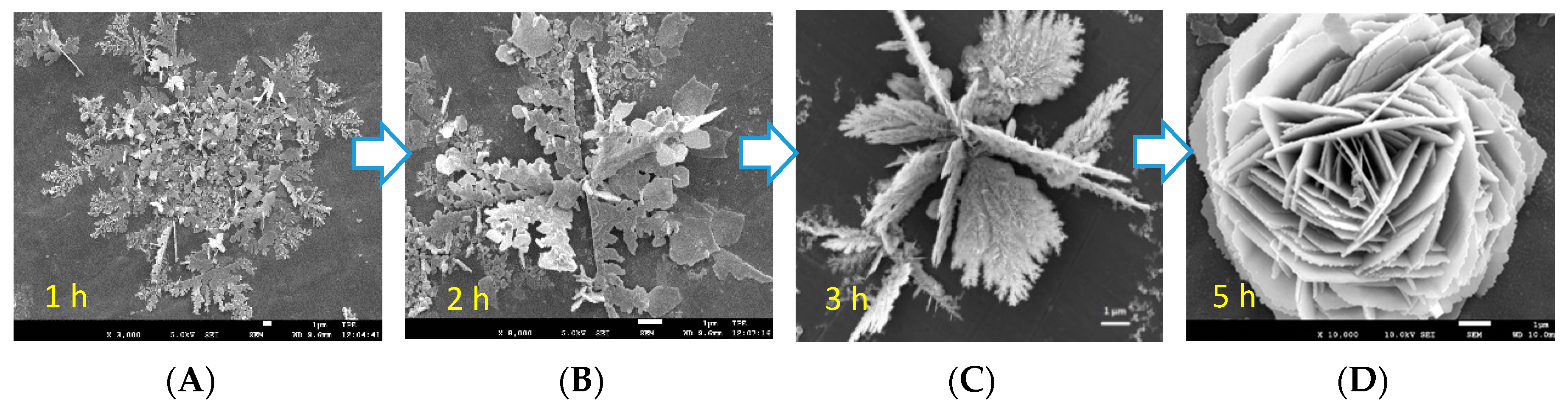 Crystals 07 00357 g005 550